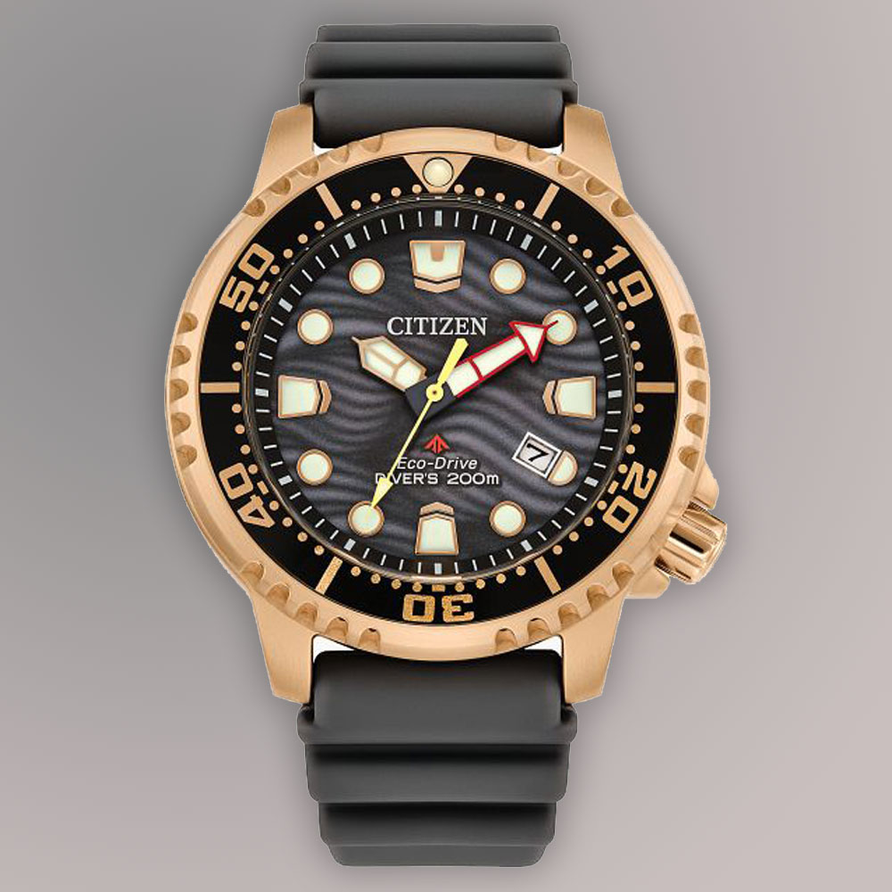 Promaster Dive Eco Drive Mens Watches CTZ BN0163-00H