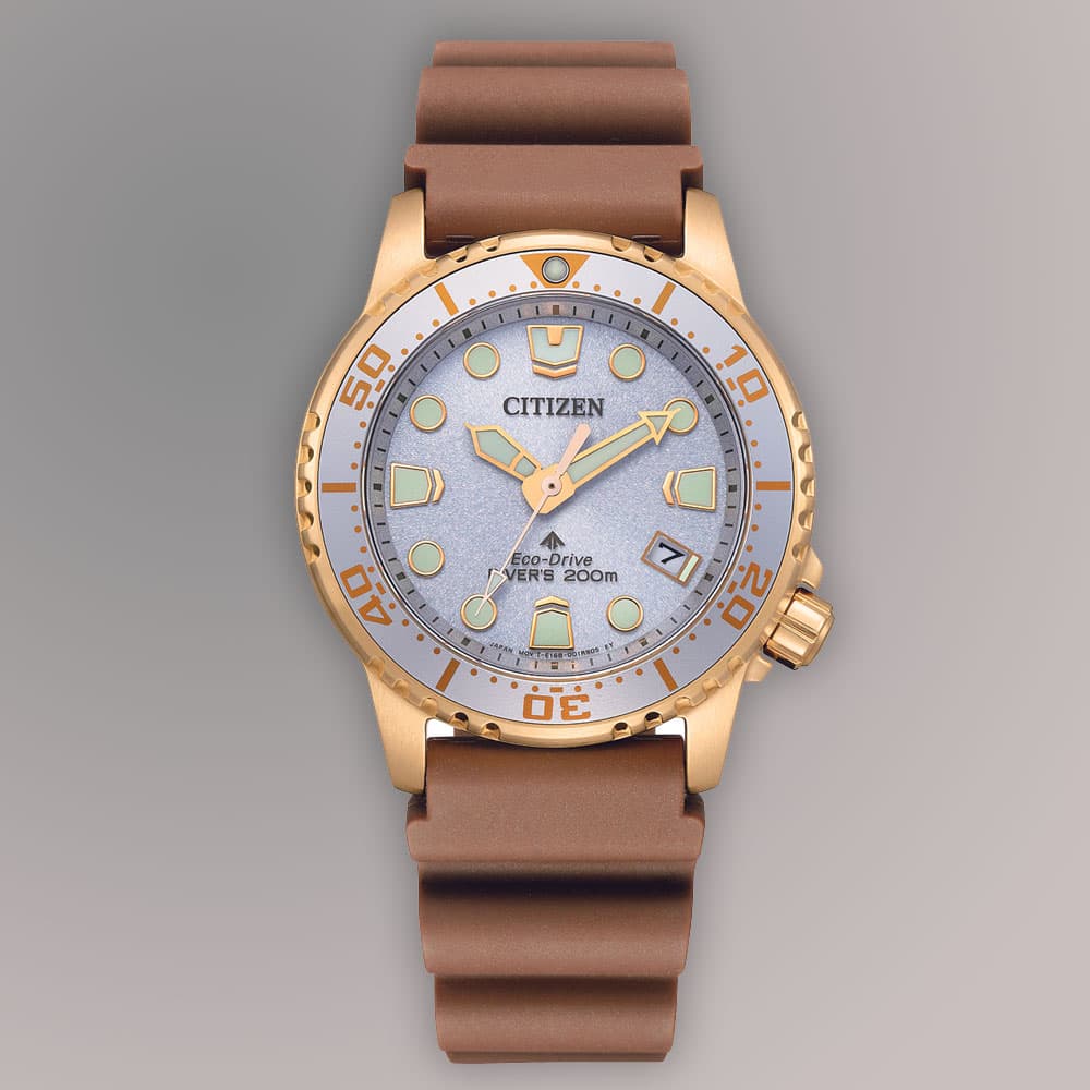 Promaster Dive Mens Watches CTZ EO2022-02A thumb