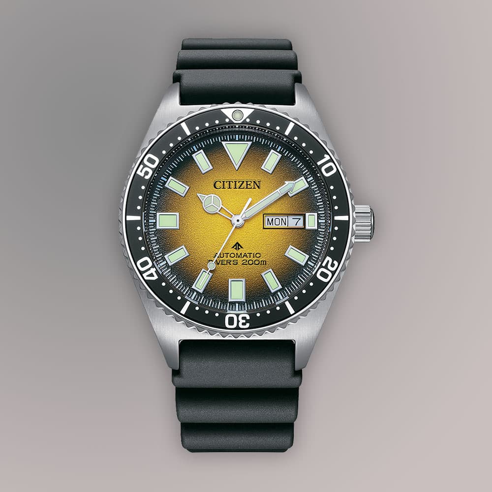 Promaster Dive Mens Watches CTZ NY0120-01X thumb