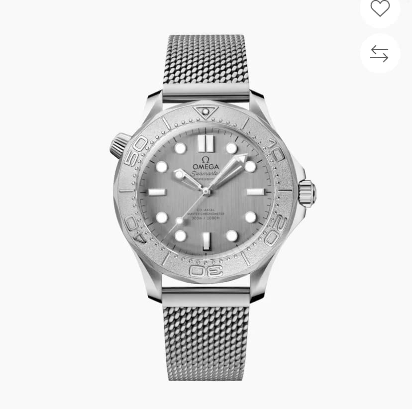 Seamaster Diver 300M Stainless Steel / Grey