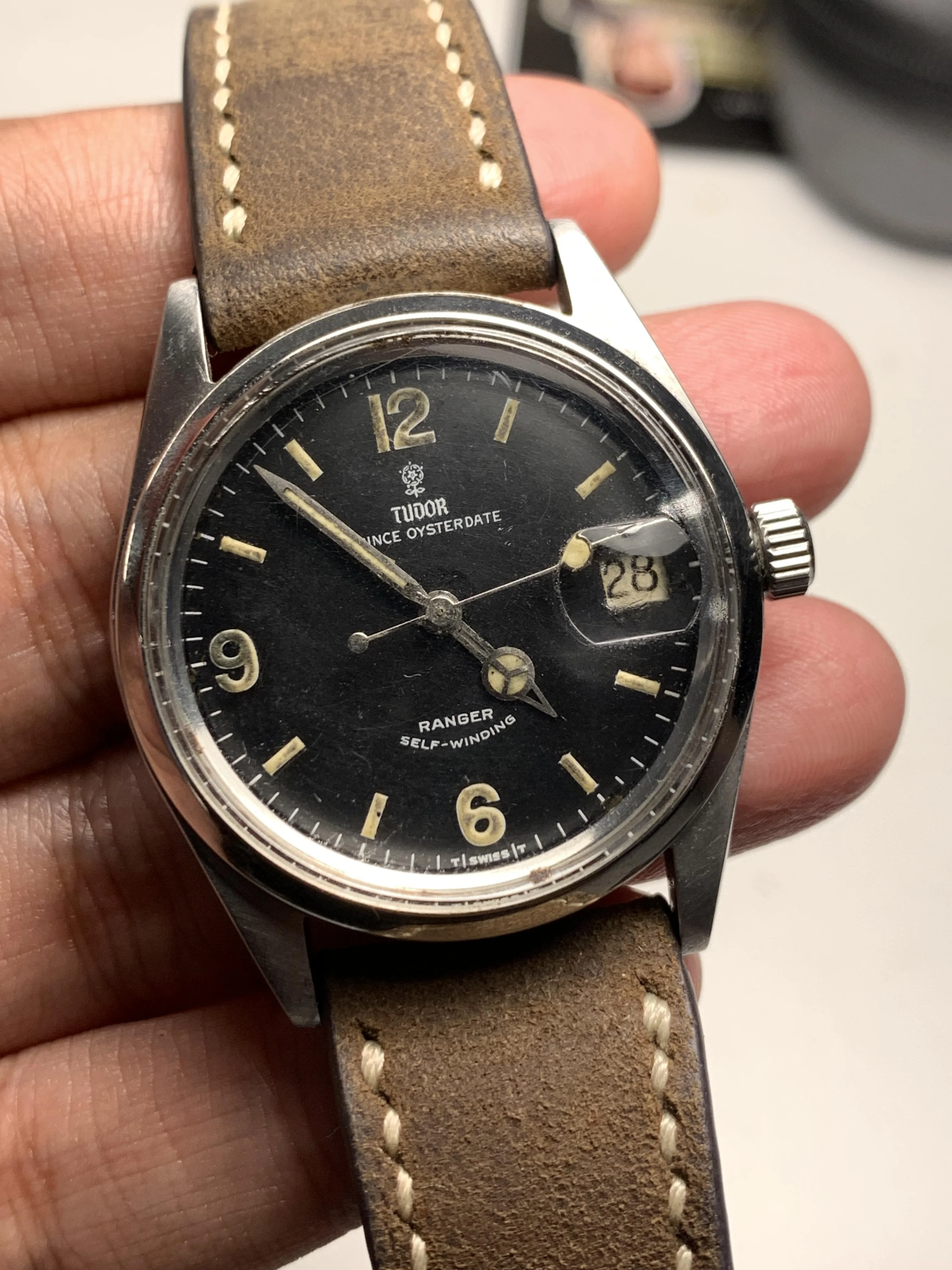 Prince Oysterdate Ranger 7966