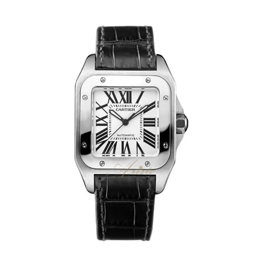 Santos 100 Medium Automatic Stainless Steel