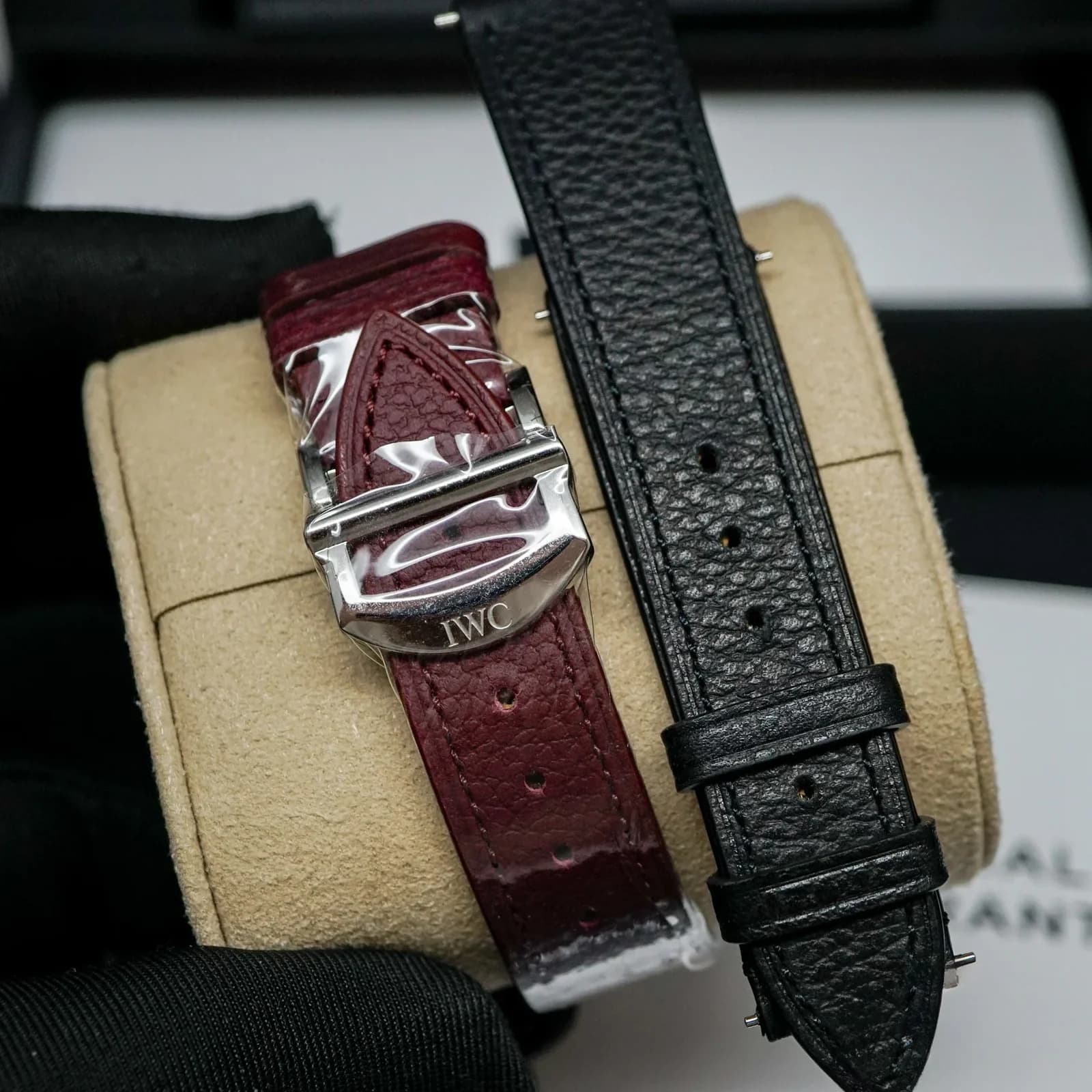 Thumb Portofino Automatic Moon Phase 37 “Year of the Snake”