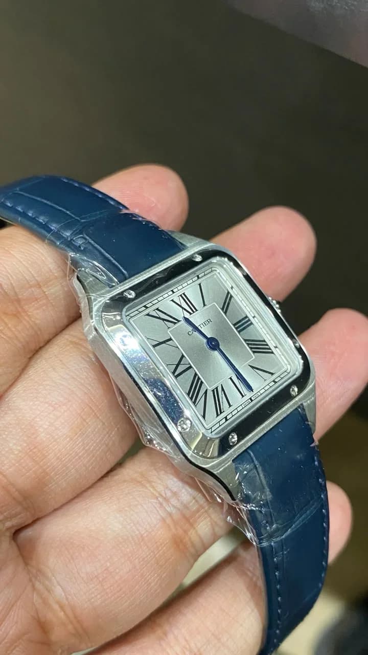Thumb Santos Dumont Small Stainless Steel / Strap