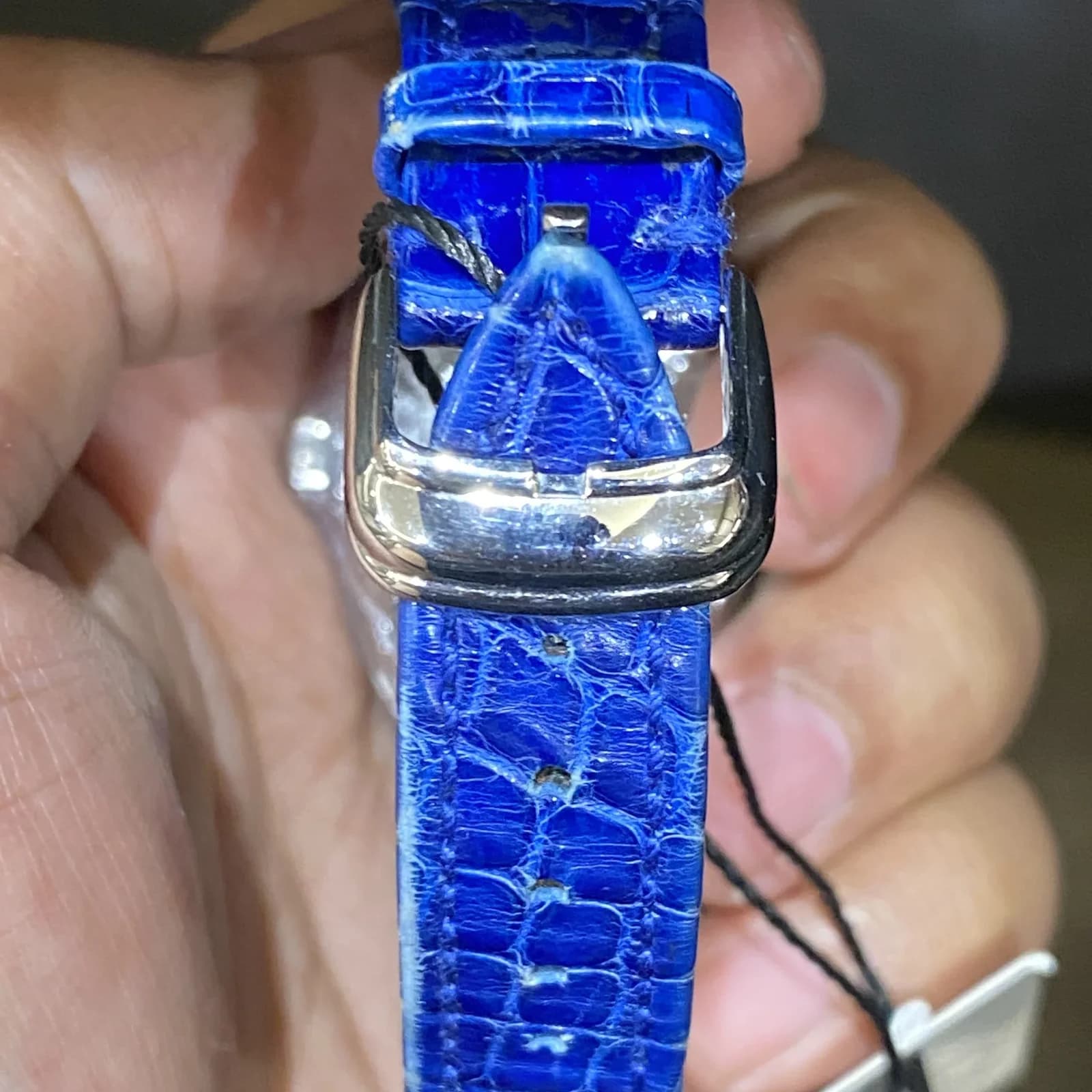 Thumb Conquistador Lady Stainless Steel Automatic / Blue