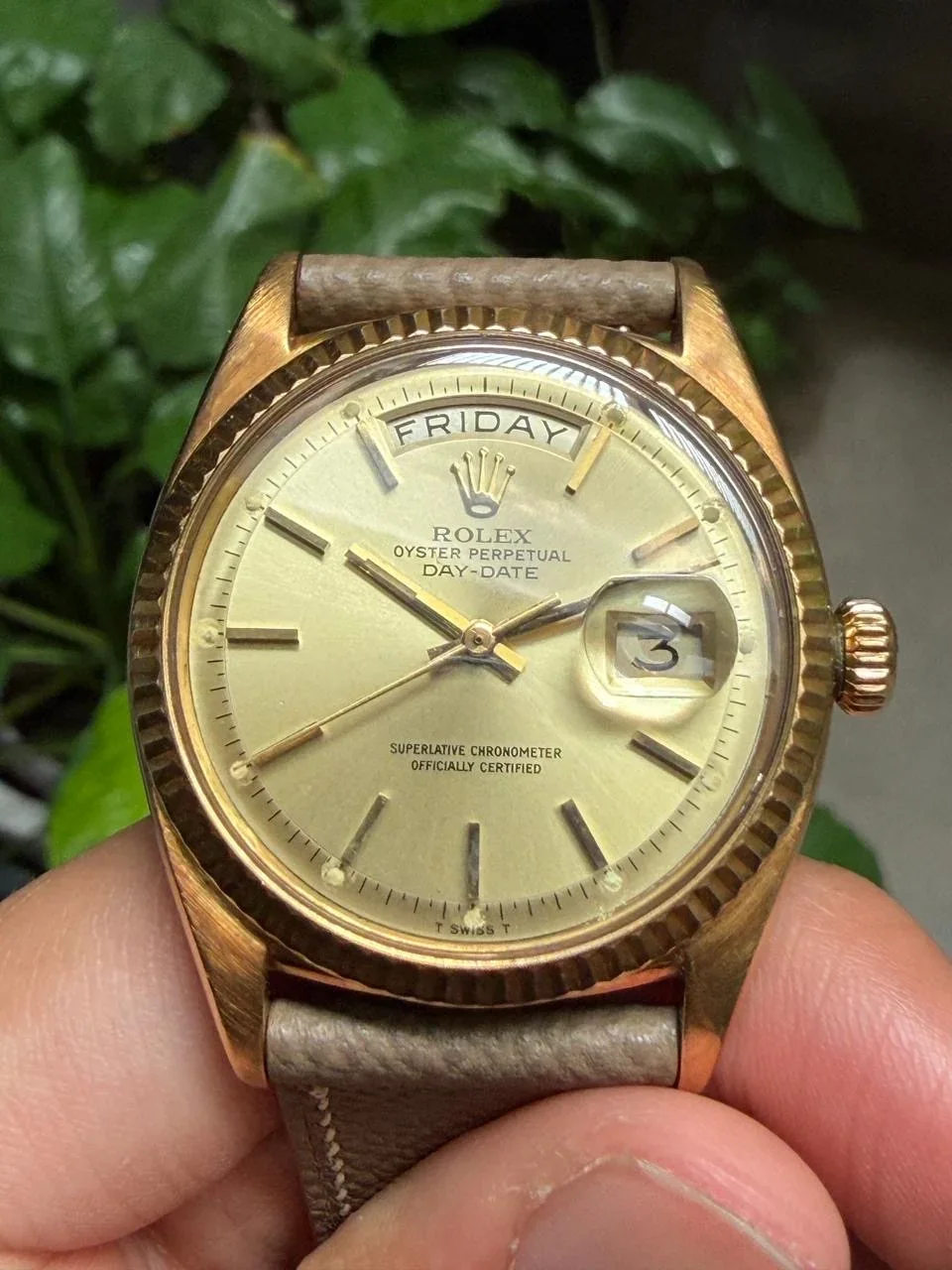 Thumb Day-Date 1803