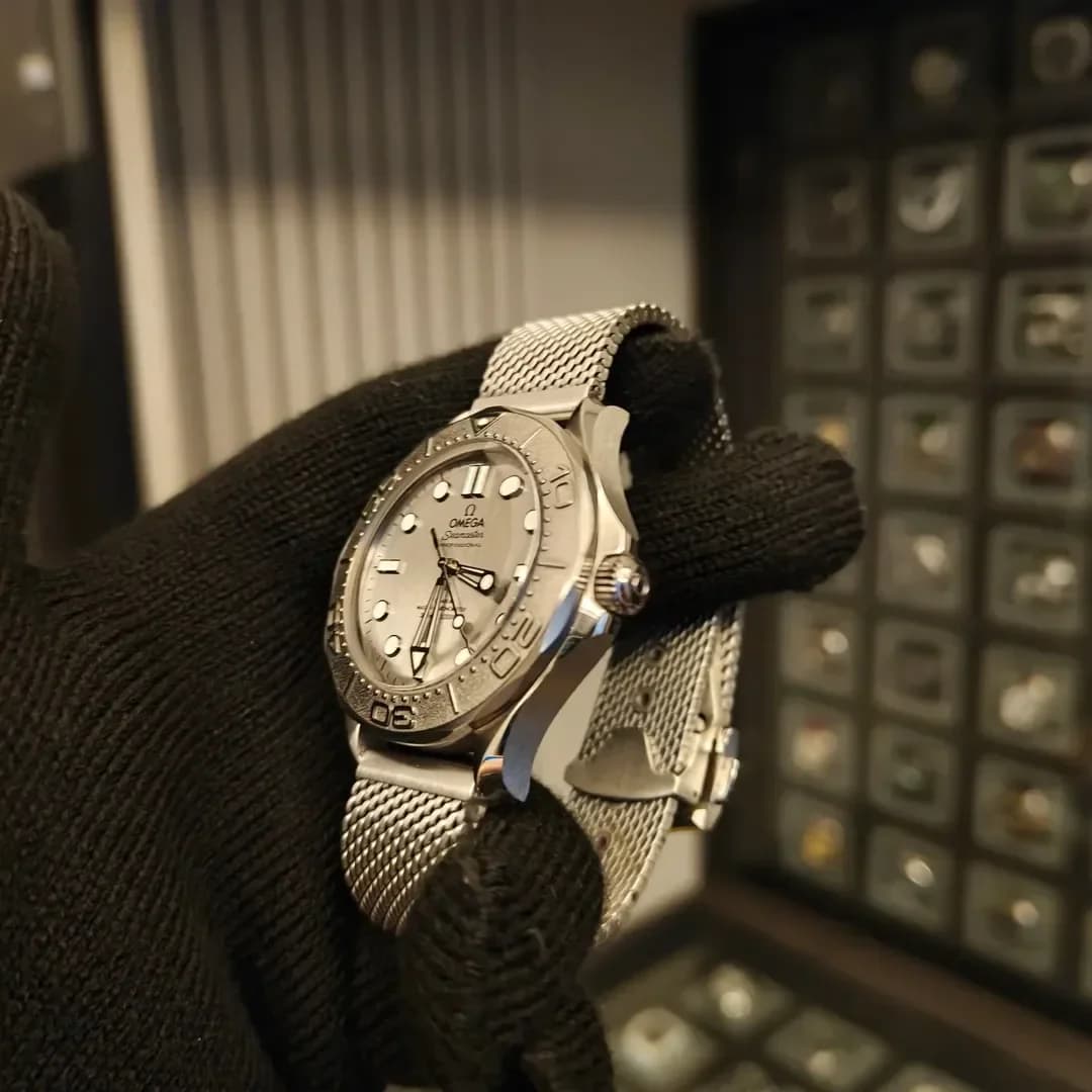 Thumb Seamaster Diver 300M Stainless Steel / Grey