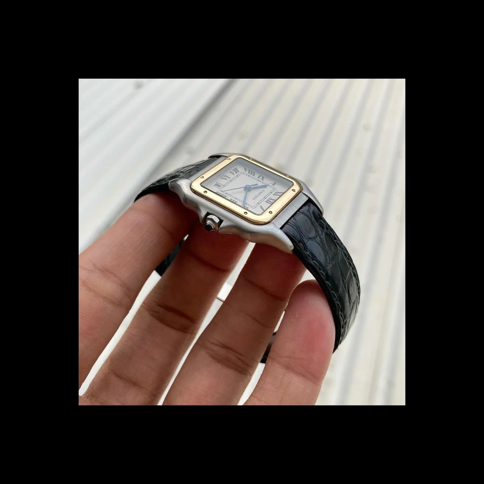 Thumb Panthere 1100 Quartz 