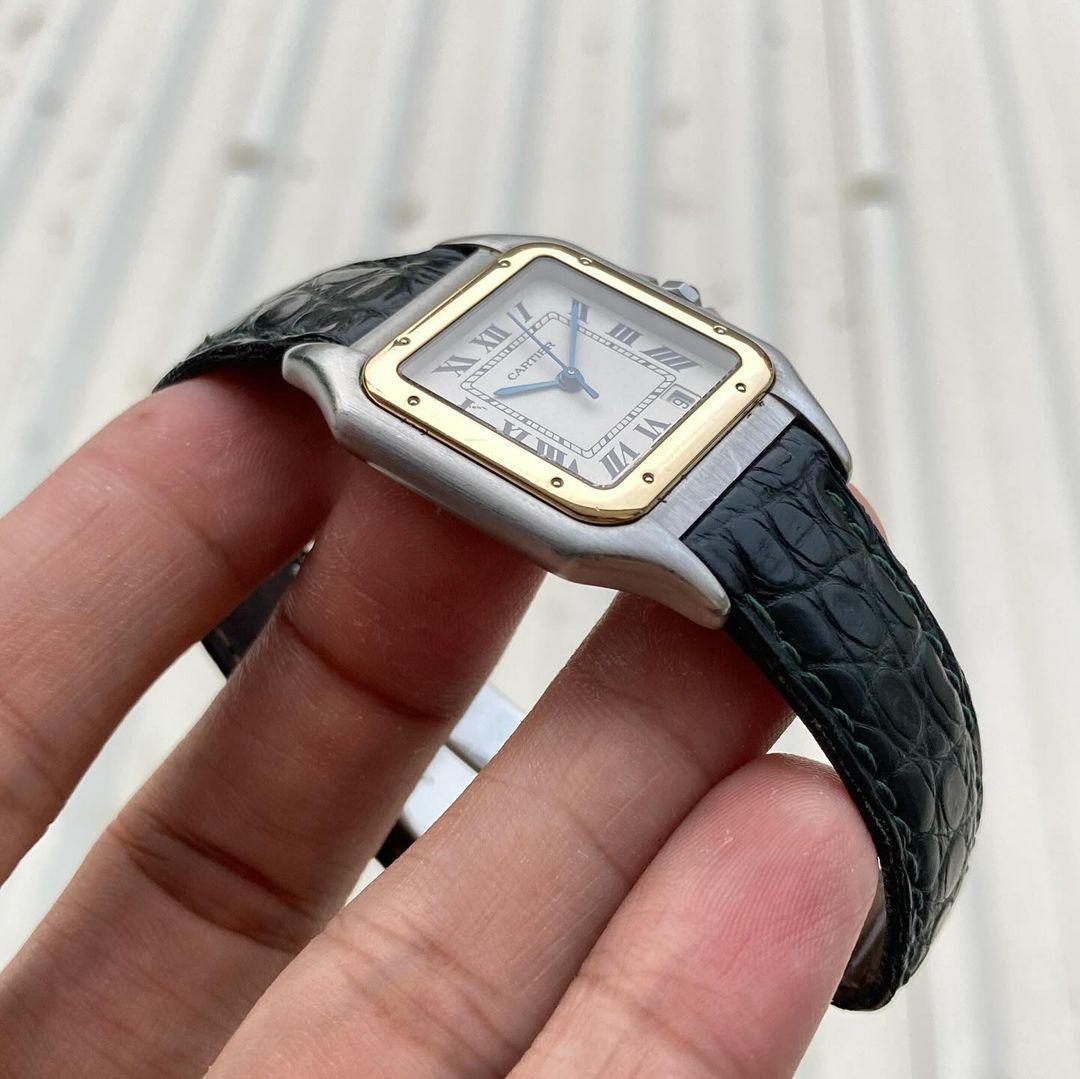 Thumb Panthere 1100 Quartz 