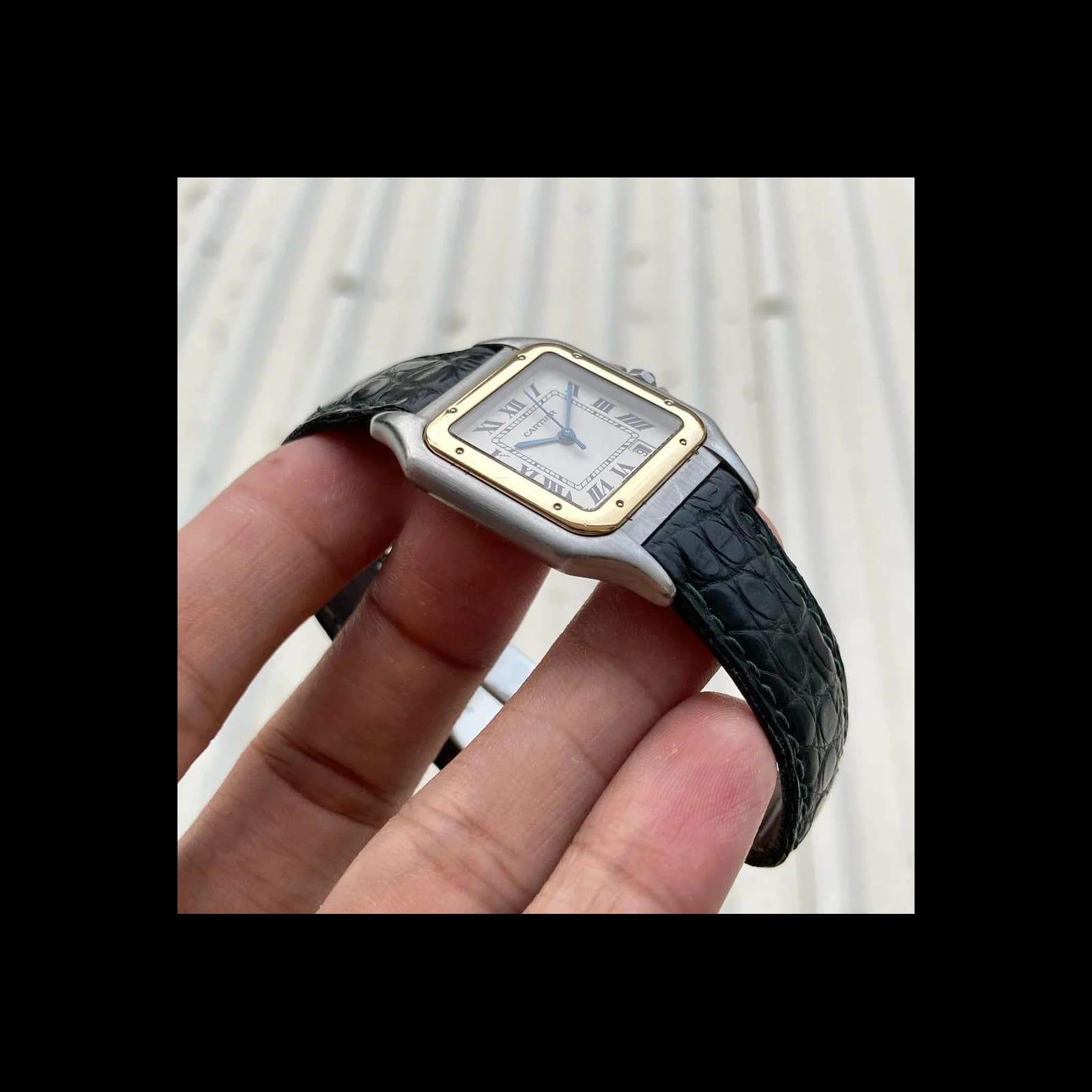 Thumb Panthere 1100 Quartz 