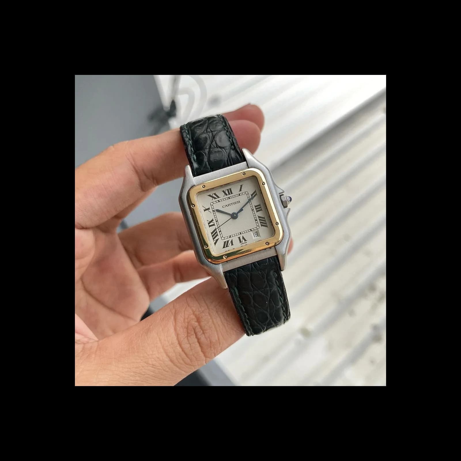 Thumb Panthere 1100 Quartz 