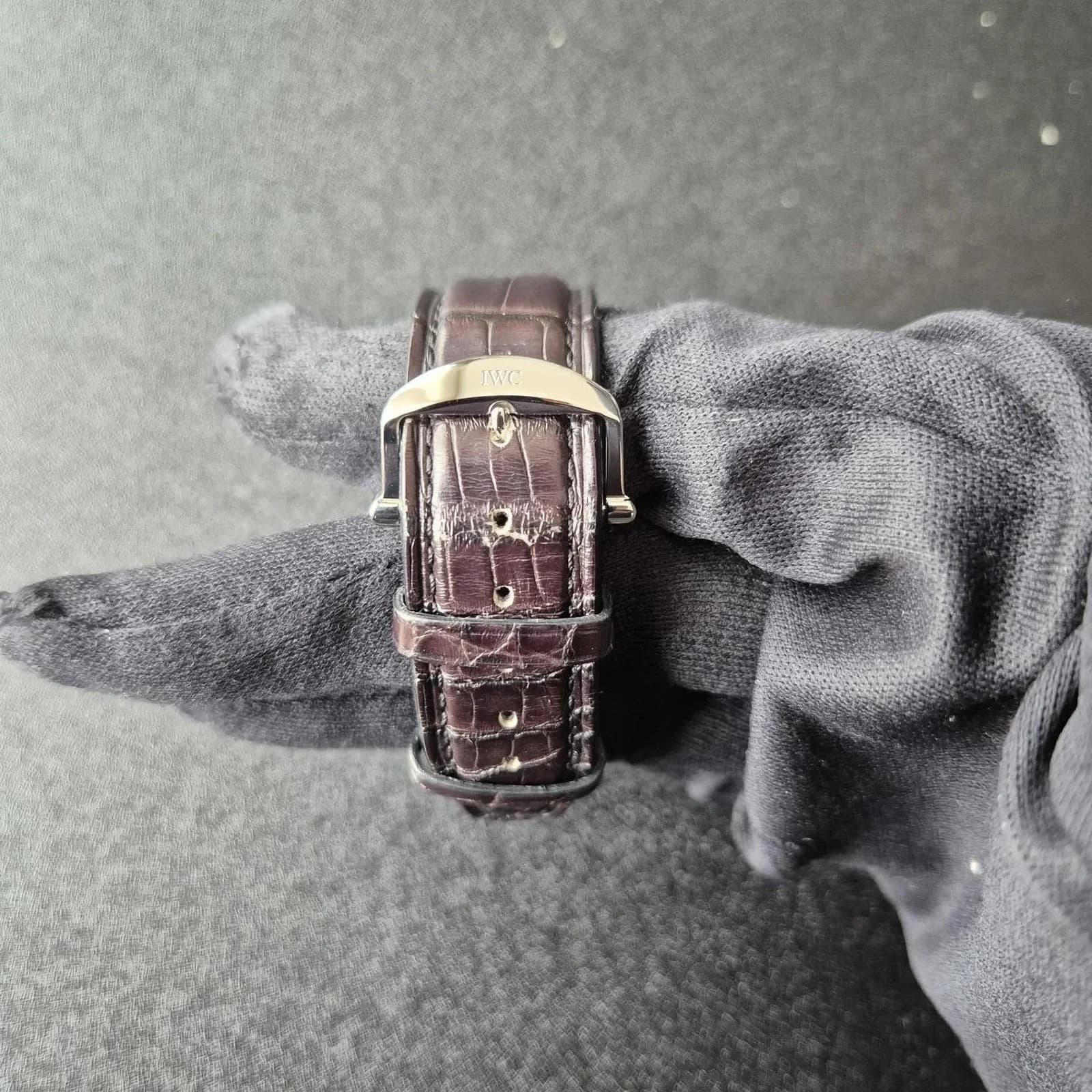 Thumb Portofino Chronograph Stainless Steel / Silver