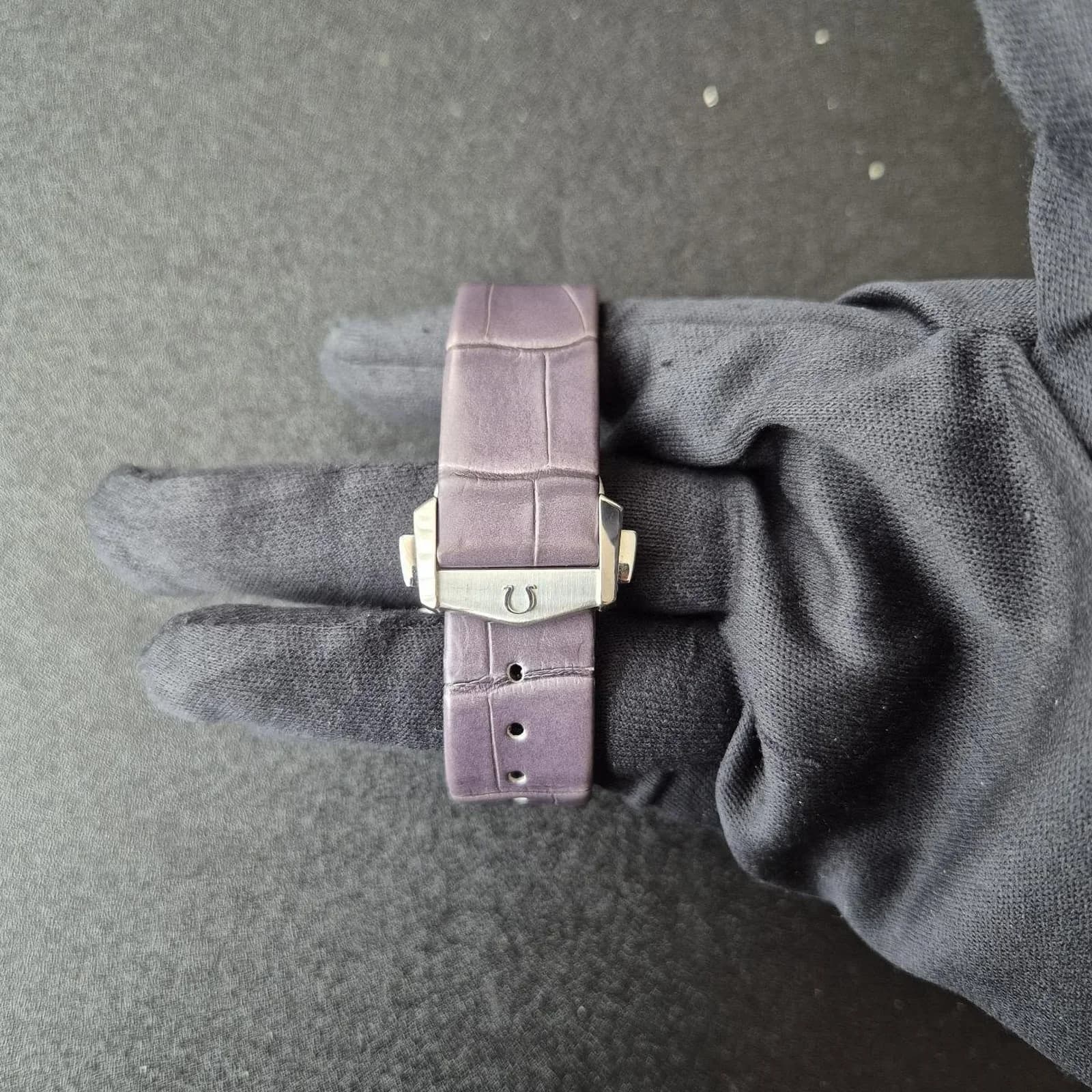 Thumb Constellation Master Chronometer 39 Stainless Steel / Silver / Alligator