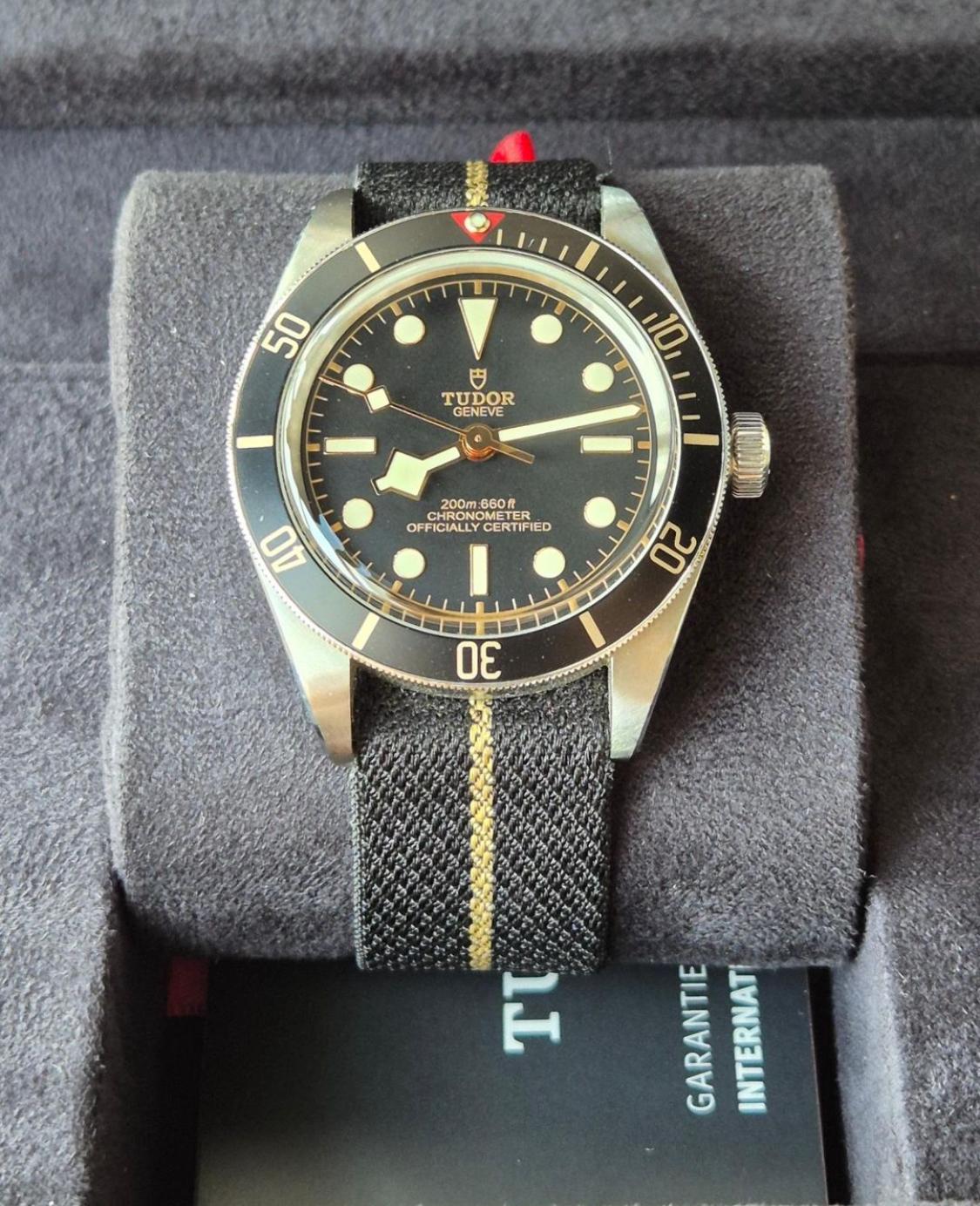 Harga tudor black bay best sale