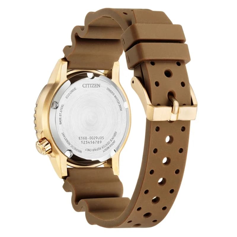 Thumb Promaster Dive Mens Watches CTZ EO2022-02A