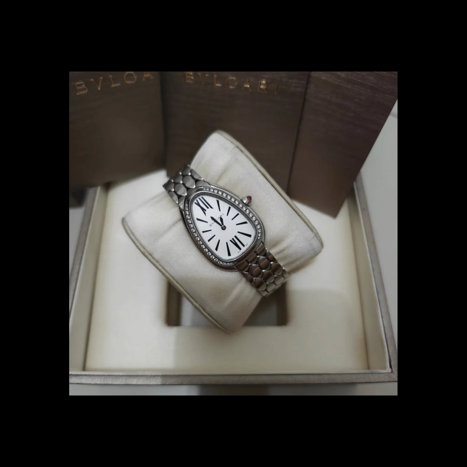Serpenti Seduttori White