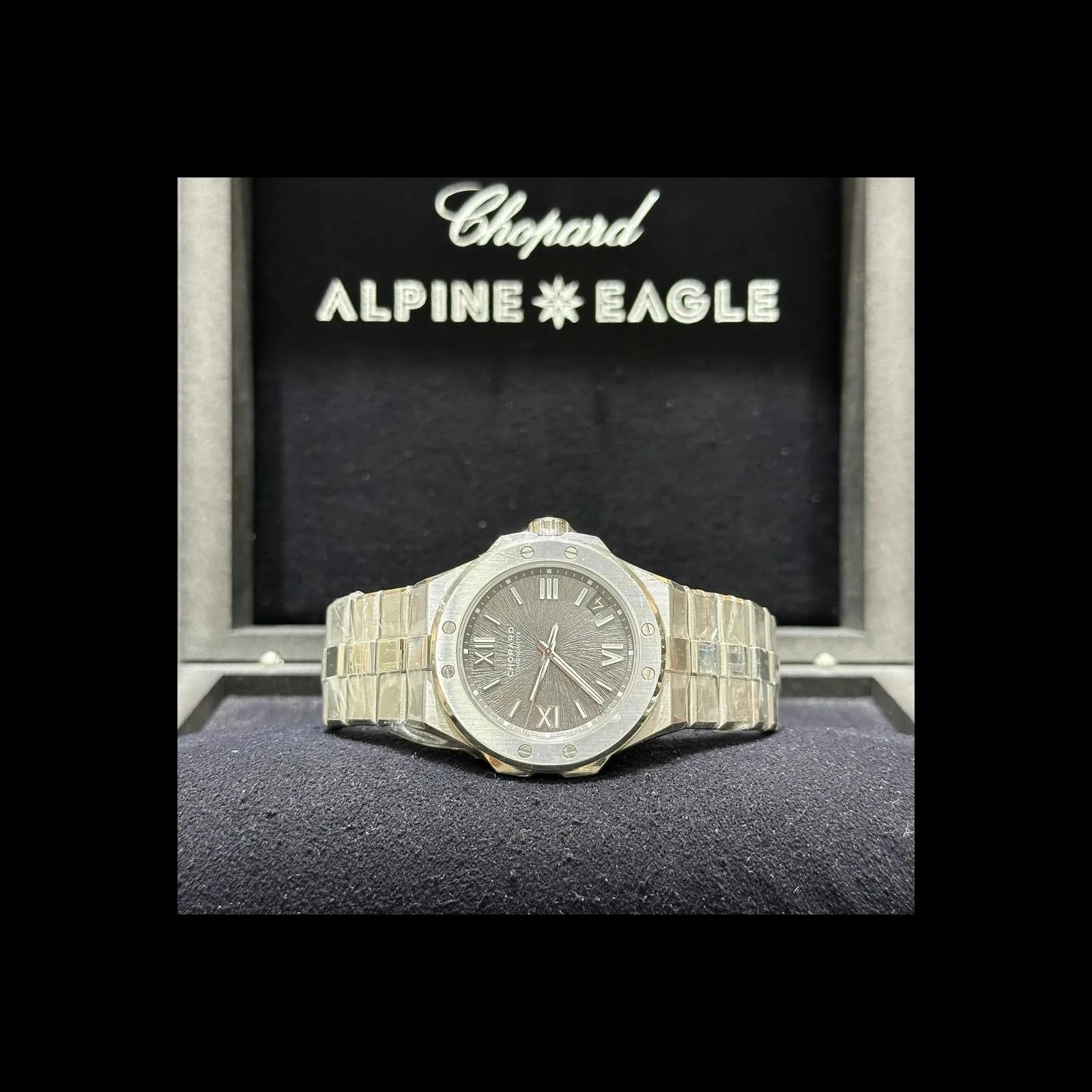Alpine Eagle 41 Stainless Steel / Grey