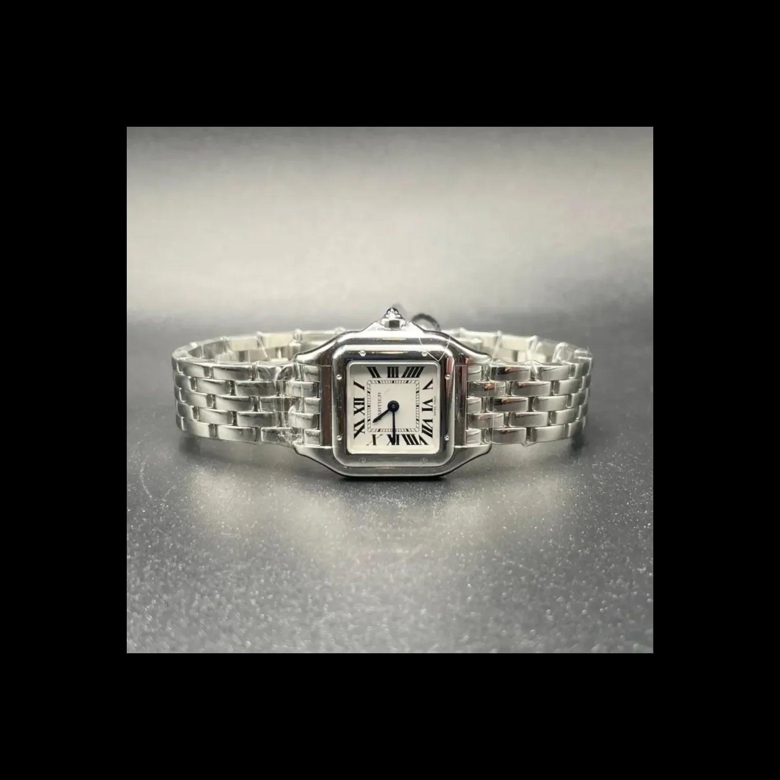 Panthere Small Stainless Steel White