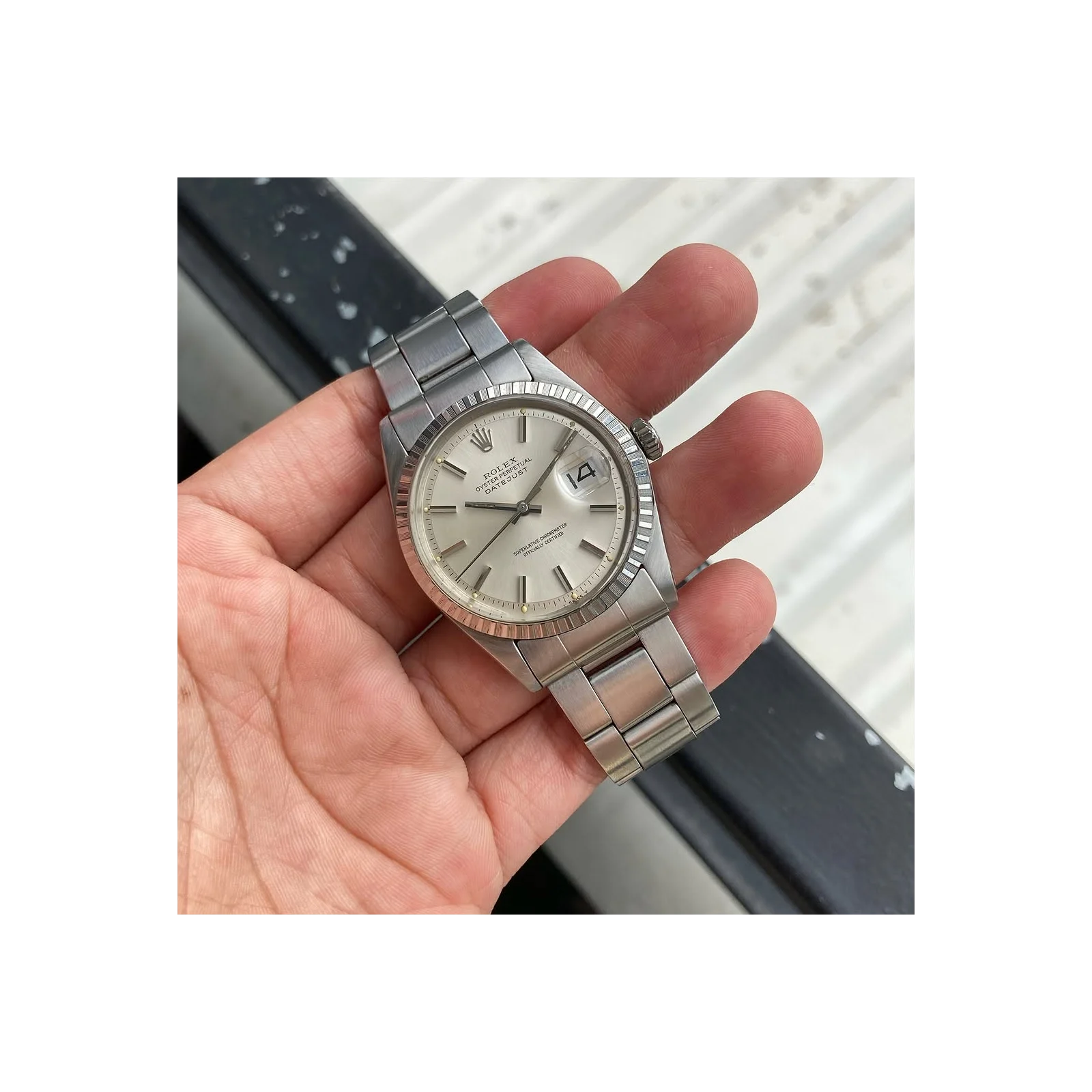 Datejust 36 1603