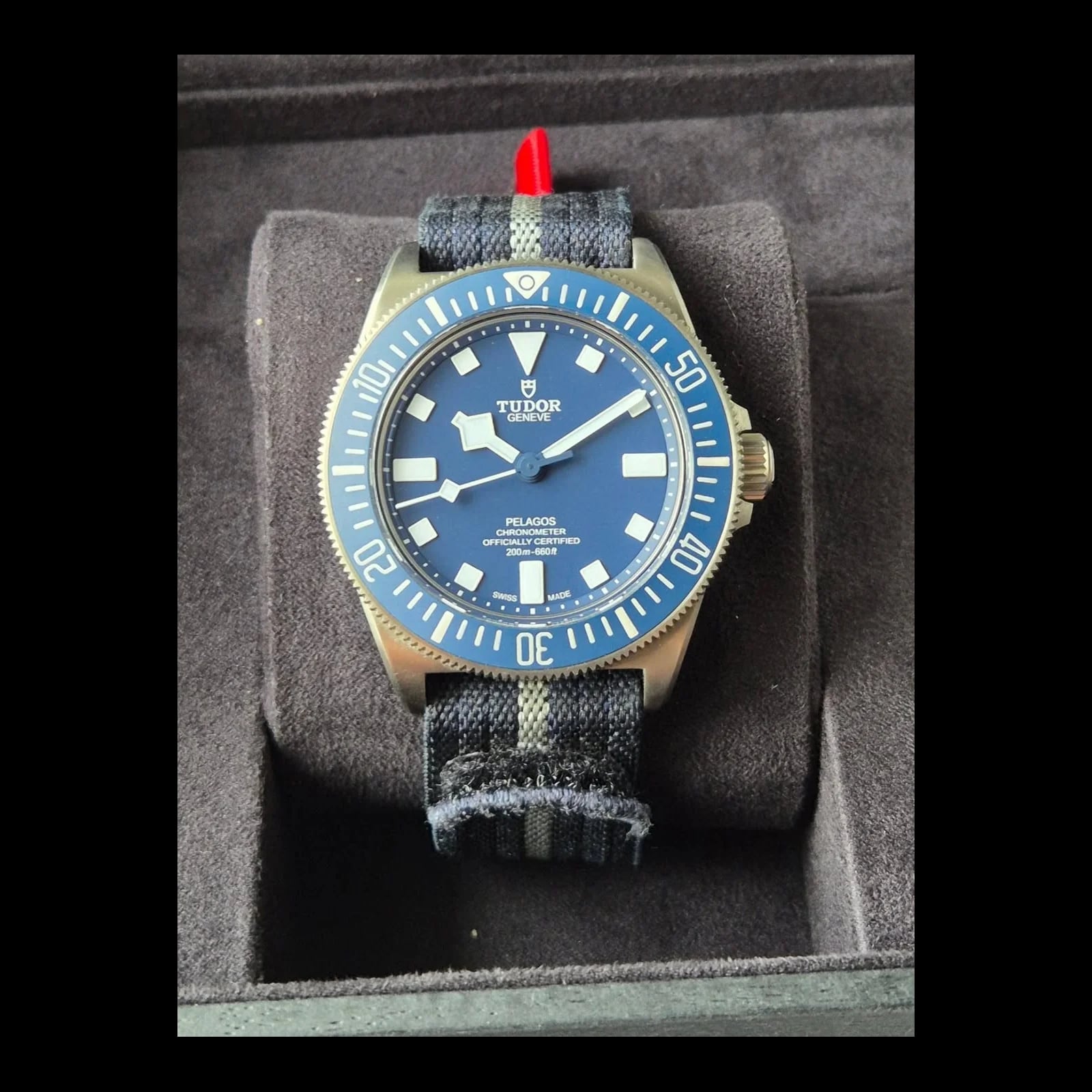 Pelagos FXD Marine Nationale 2022