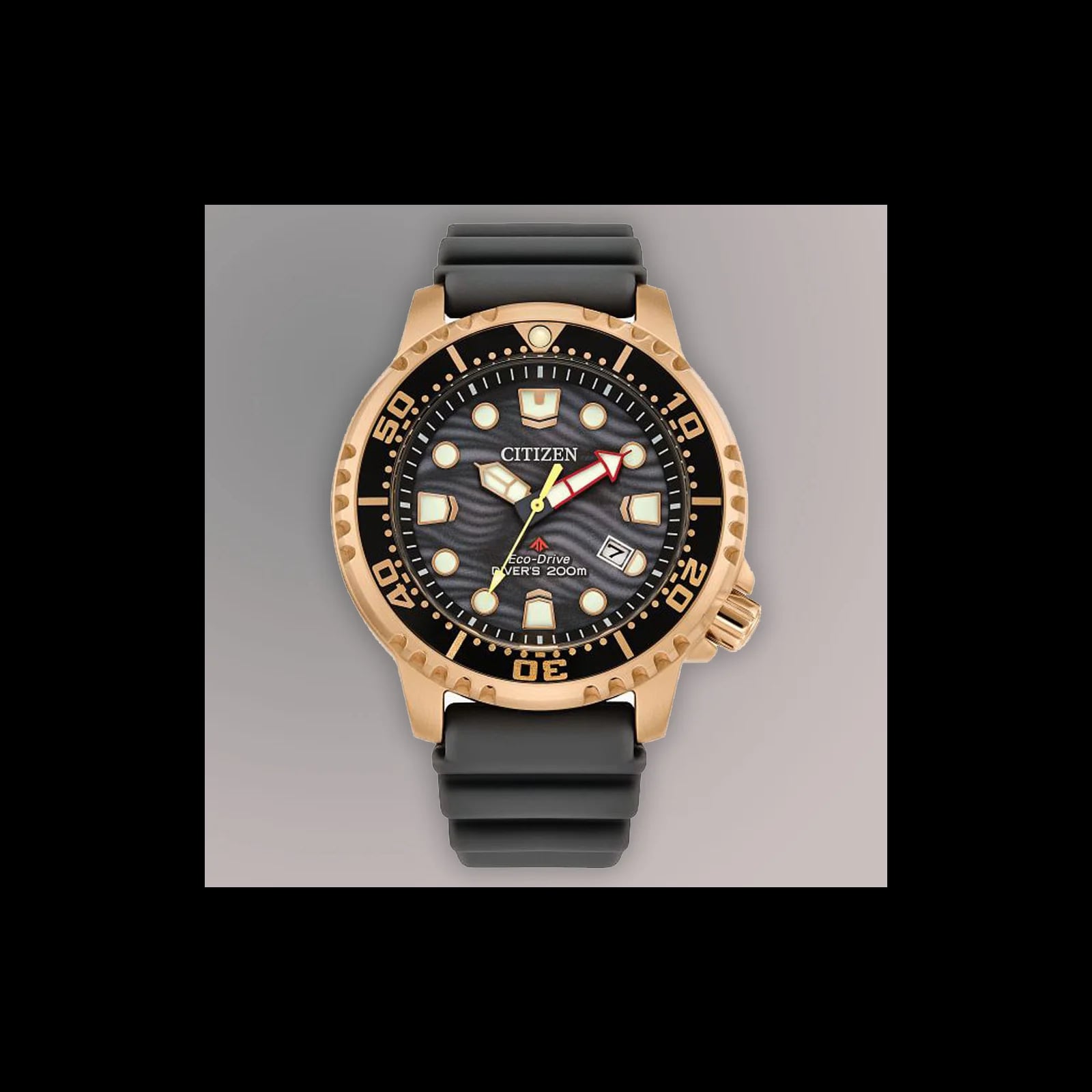 Promaster Dive Eco Drive Mens Watches CTZ BN0163-00H