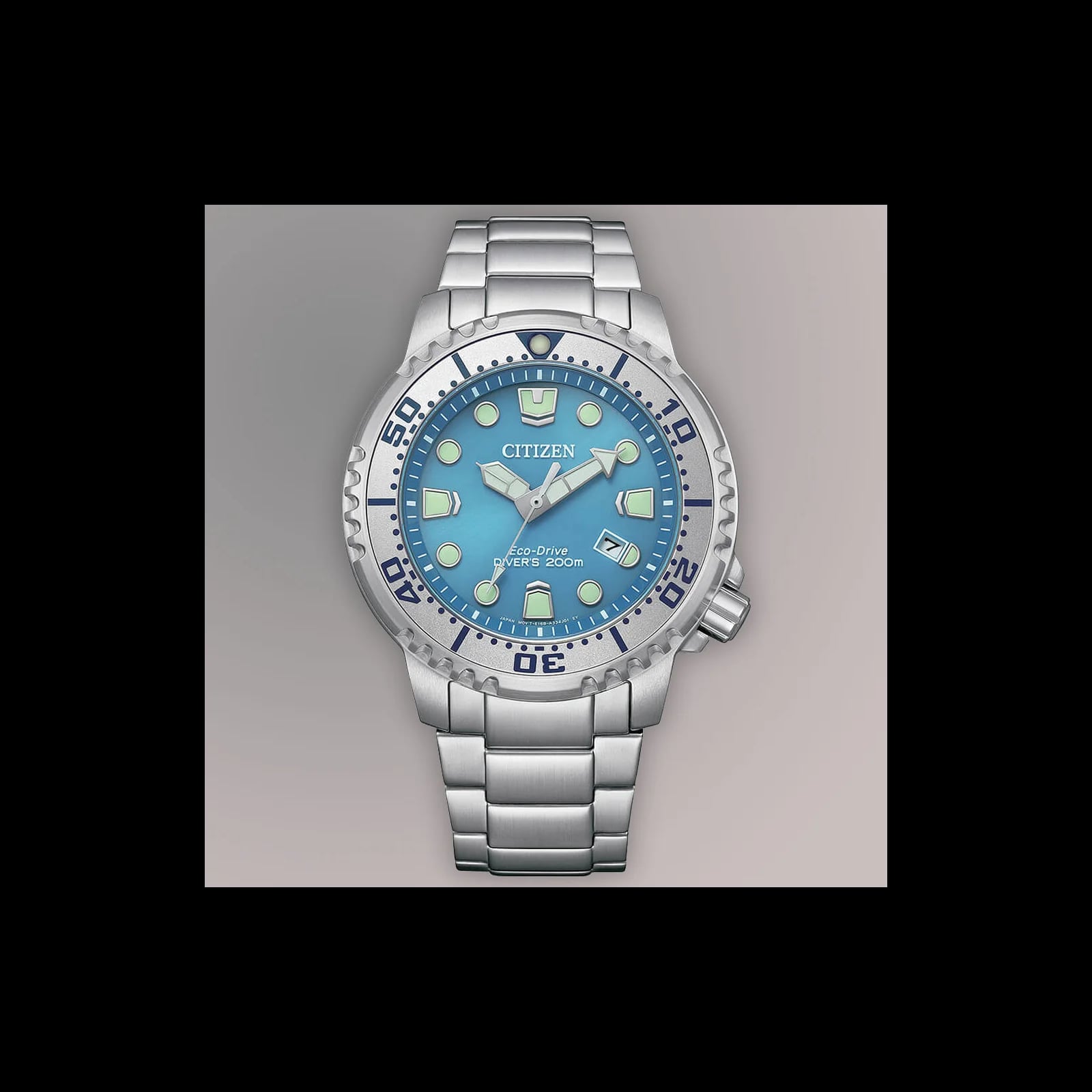Promaster Marine Dive Men's Watches CTZ BN0165-55L