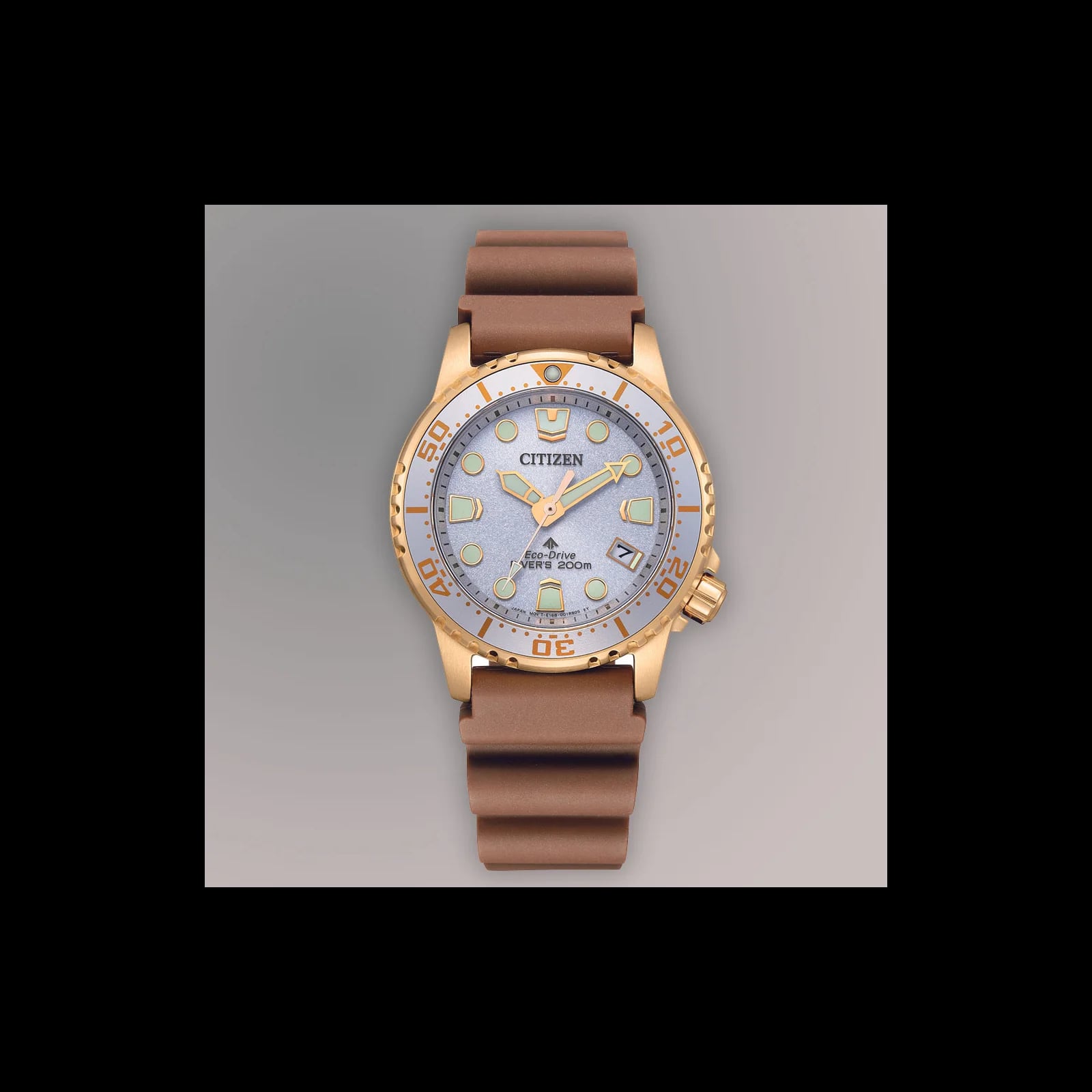 Promaster Dive Mens Watches CTZ EO2022-02A