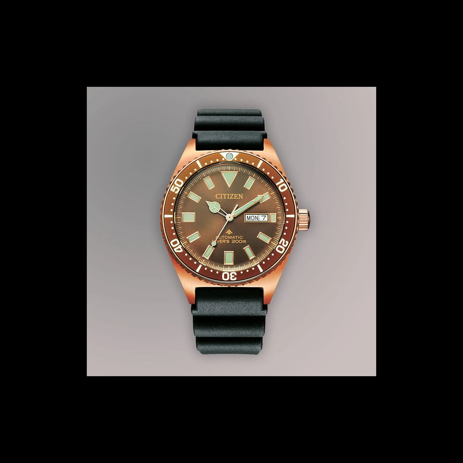 Promaster Dive Mens Watches CTZ NY0125-08W