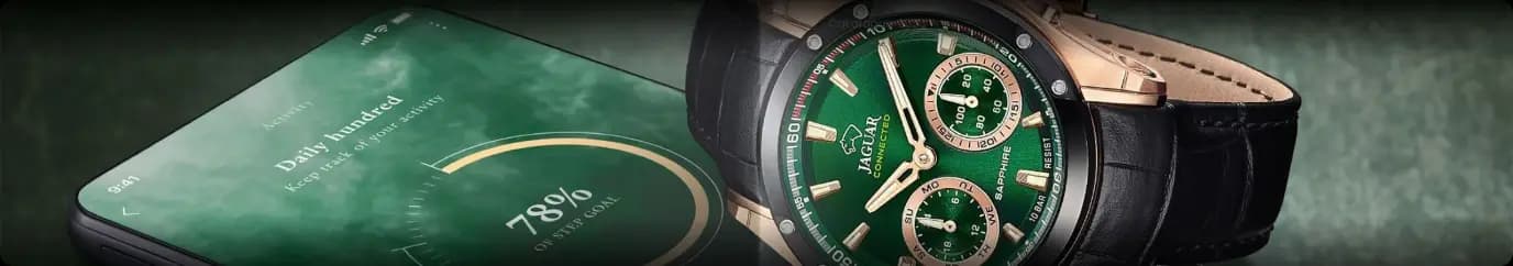 Jaguar banner