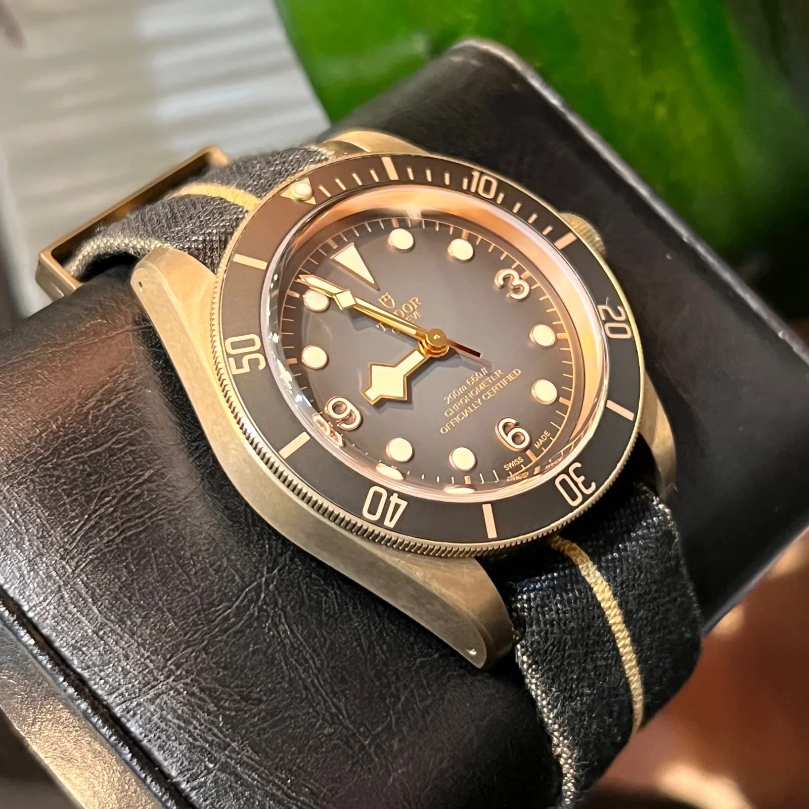 Thumb Heritage Black Bay Bronze One Only Watch 2017