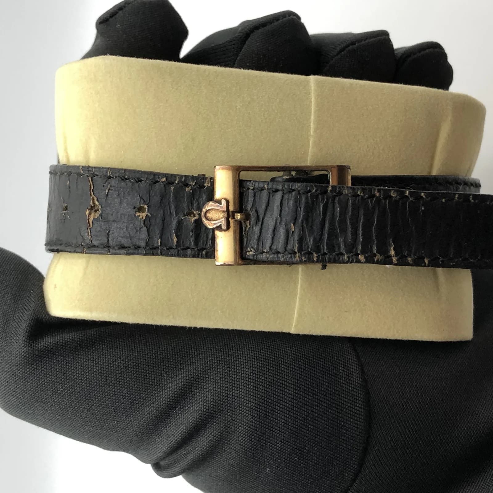 Thumb Geneva Dynamic