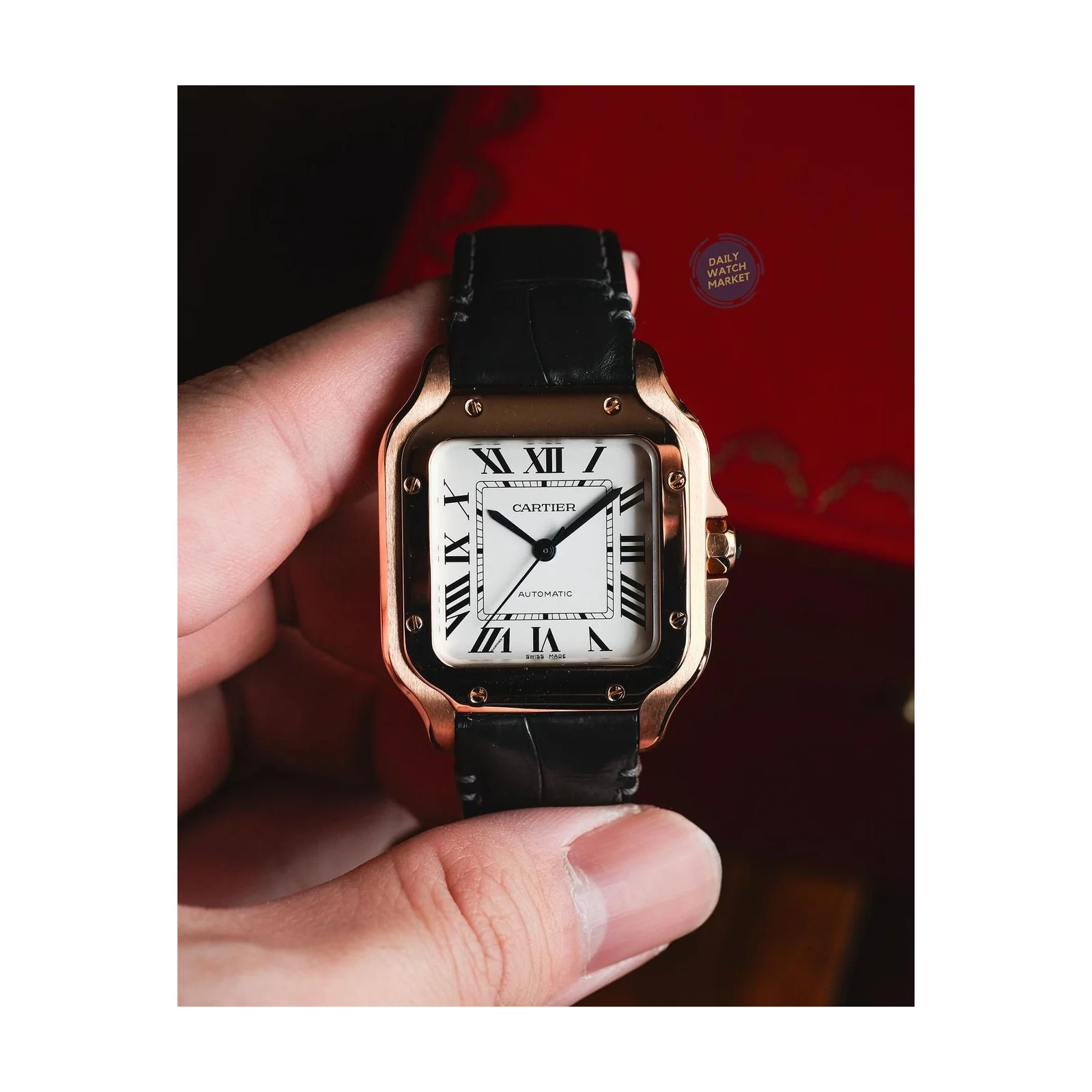 Thumb Santos Medium Rose Gold