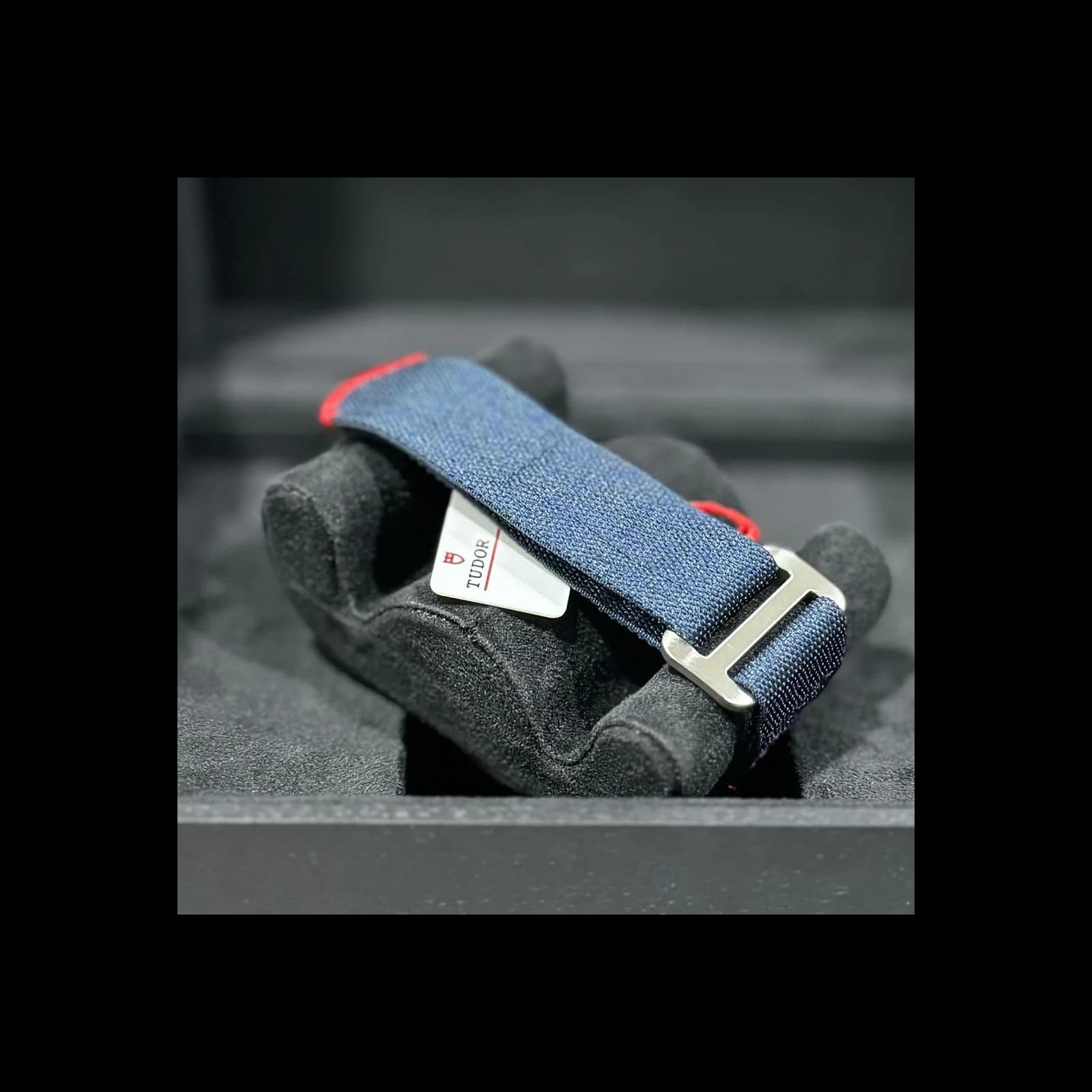 Thumb Pelagos FXD Alinghi Red Bull Racing