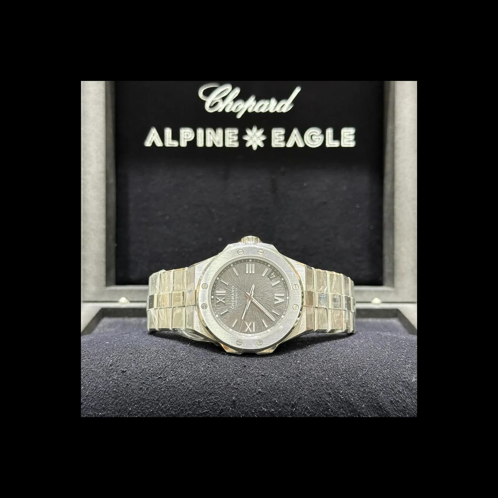Thumb Alpine Eagle 41 Stainless Steel / Grey