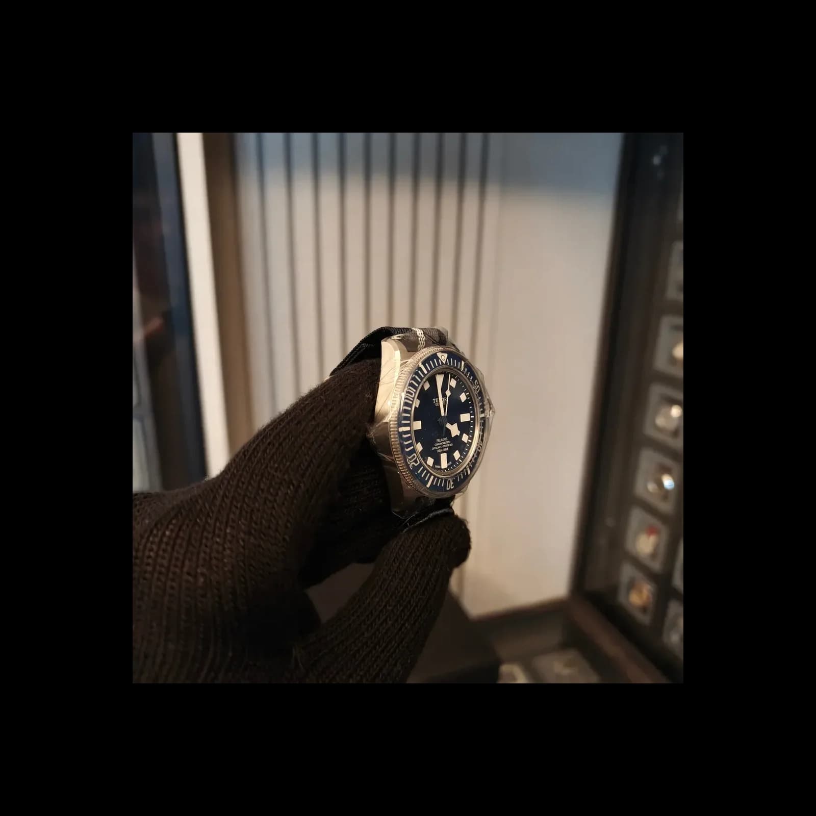 Thumb Pelagos FXD Marine Nationale 2023