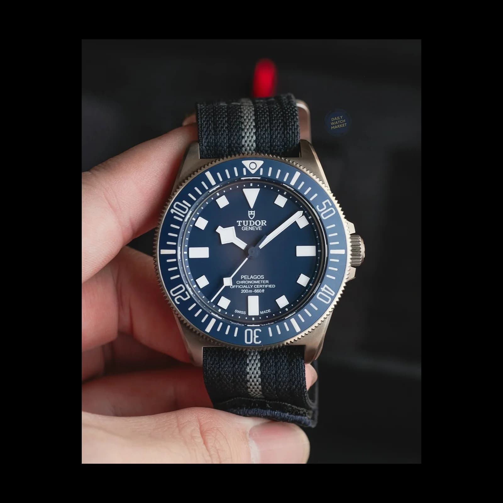 Thumb Pelagos FXD Marine Nationale 2022