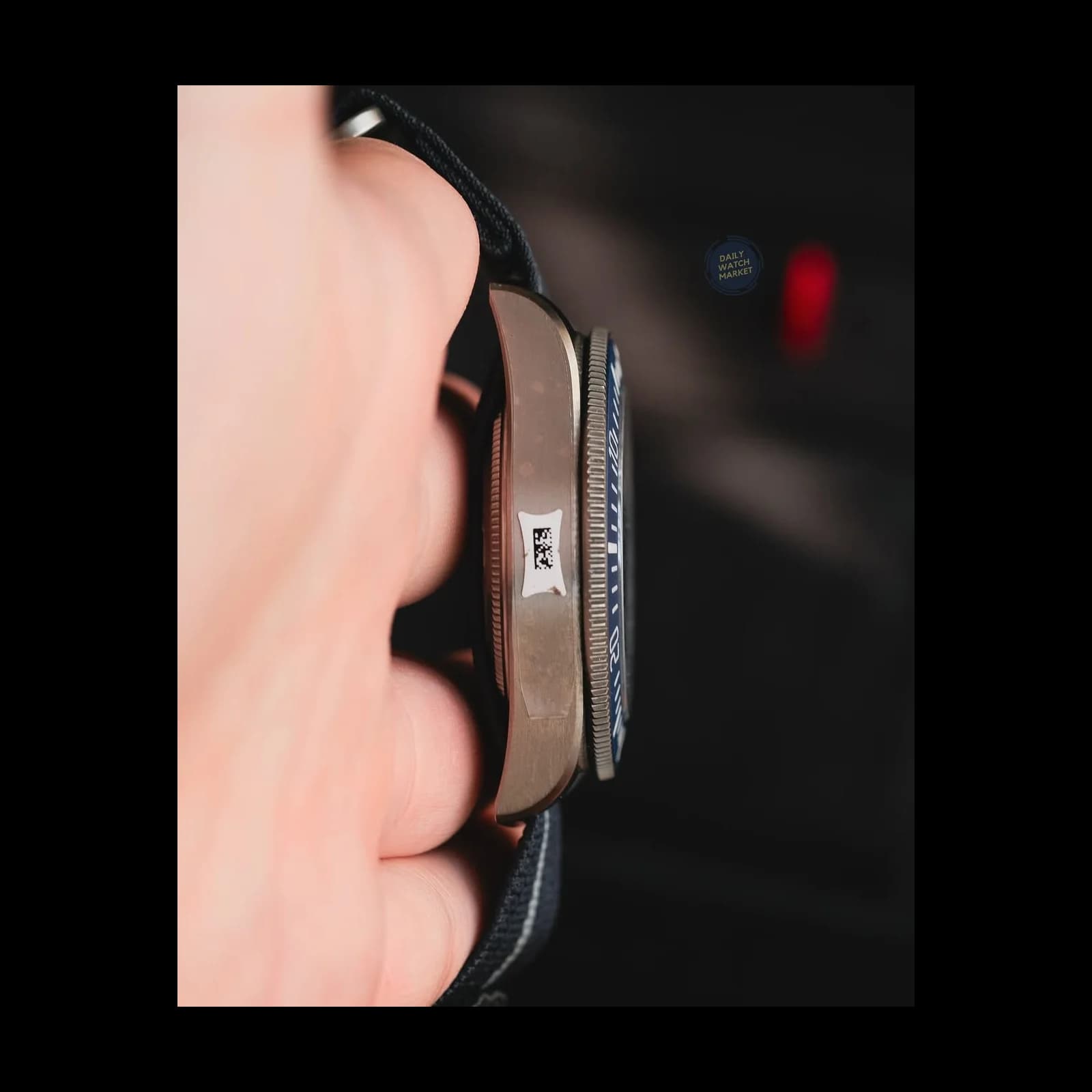 Thumb Pelagos FXD Marine Nationale 2022