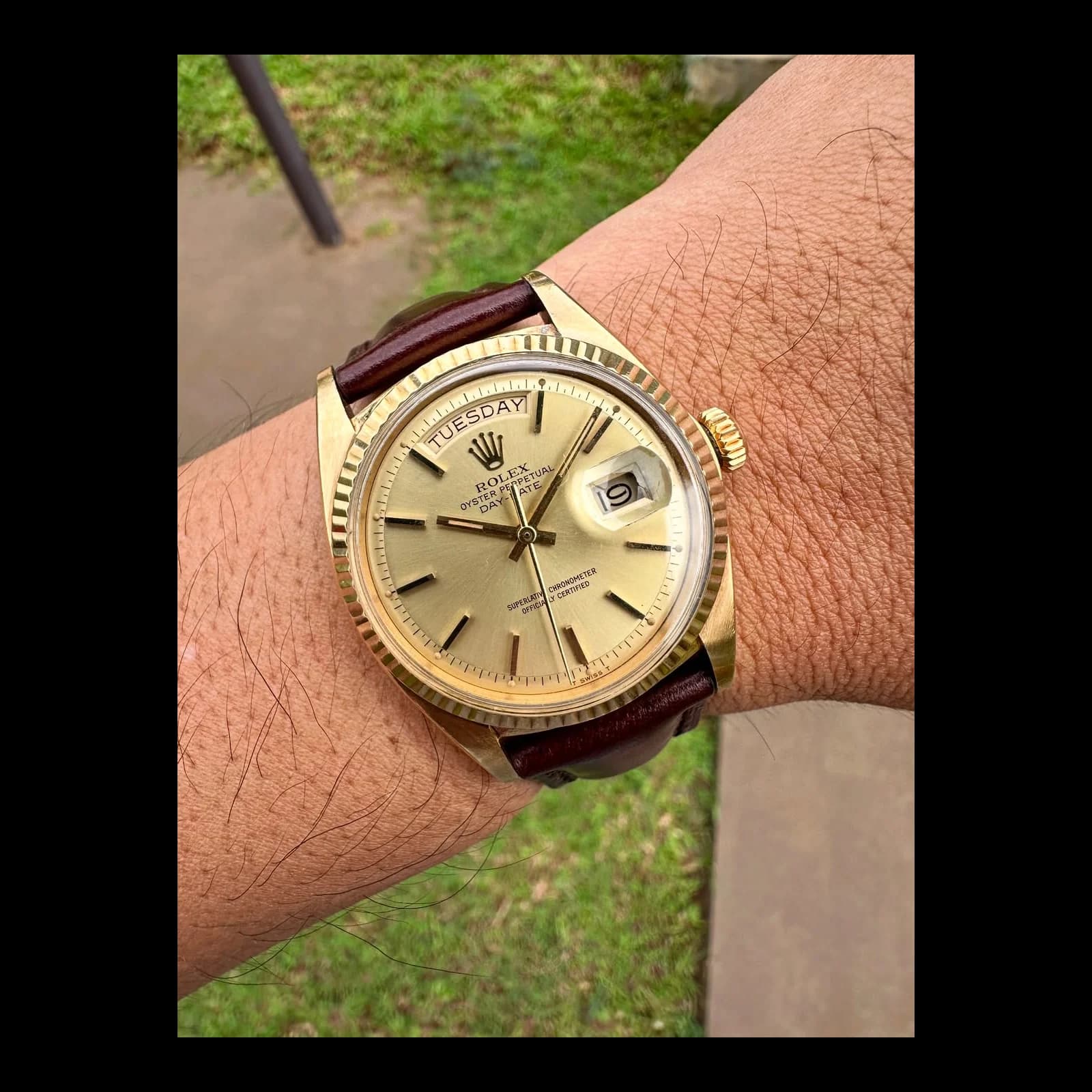 Thumb Day-Date 1803