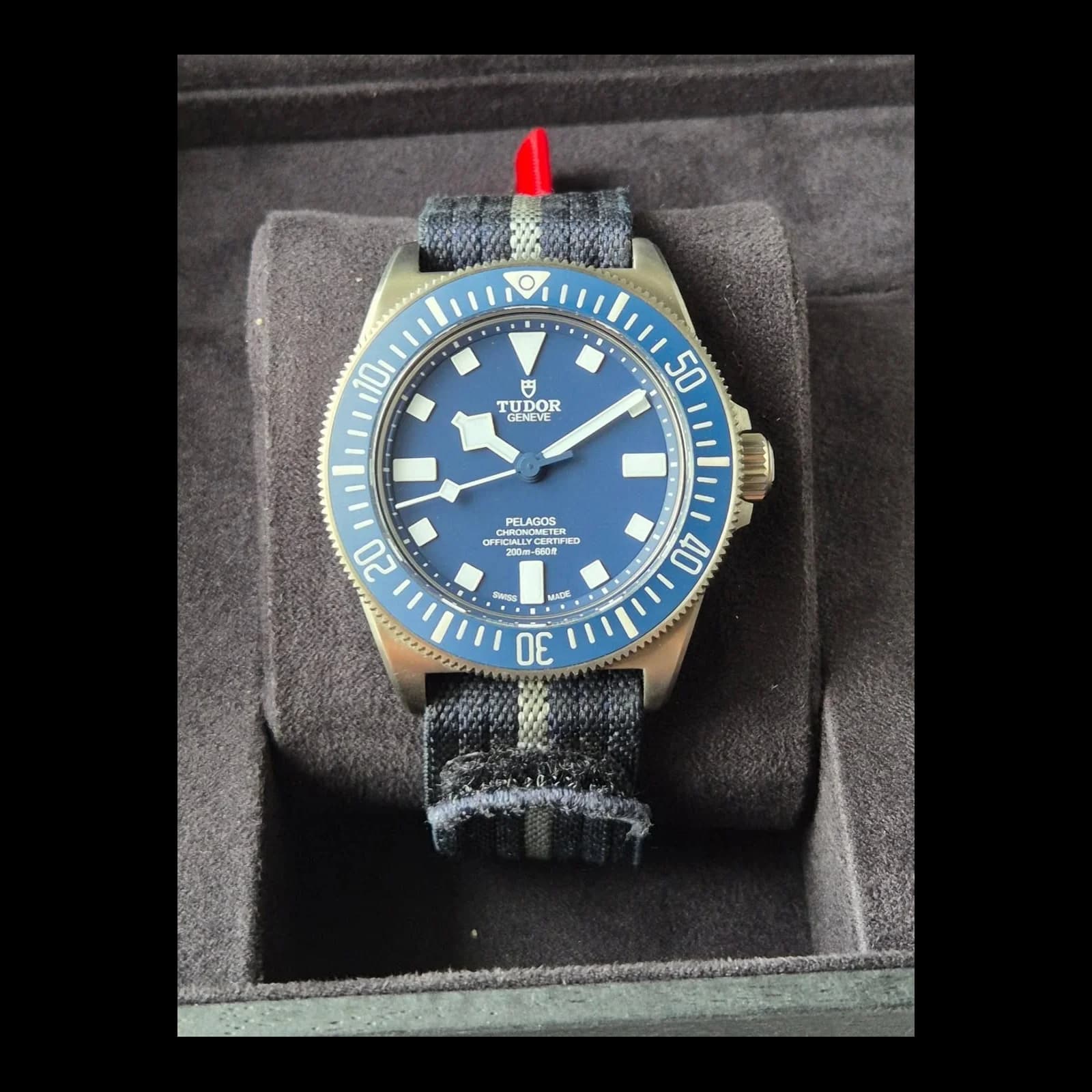 Thumb Pelagos FXD Marine Nationale 2022
