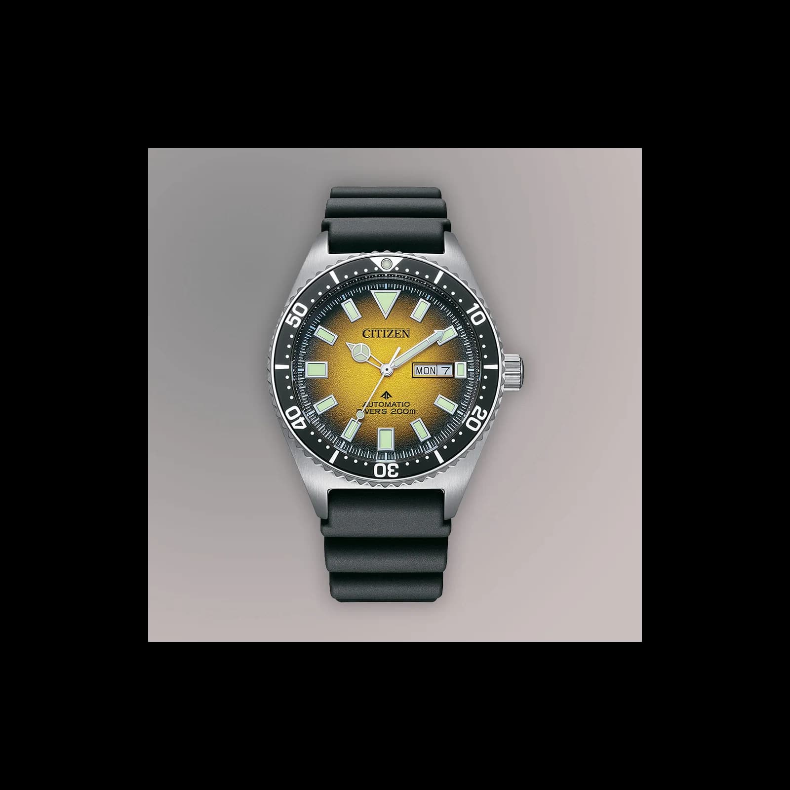 Thumb Promaster Dive Mens Watches CTZ NY0120-01X