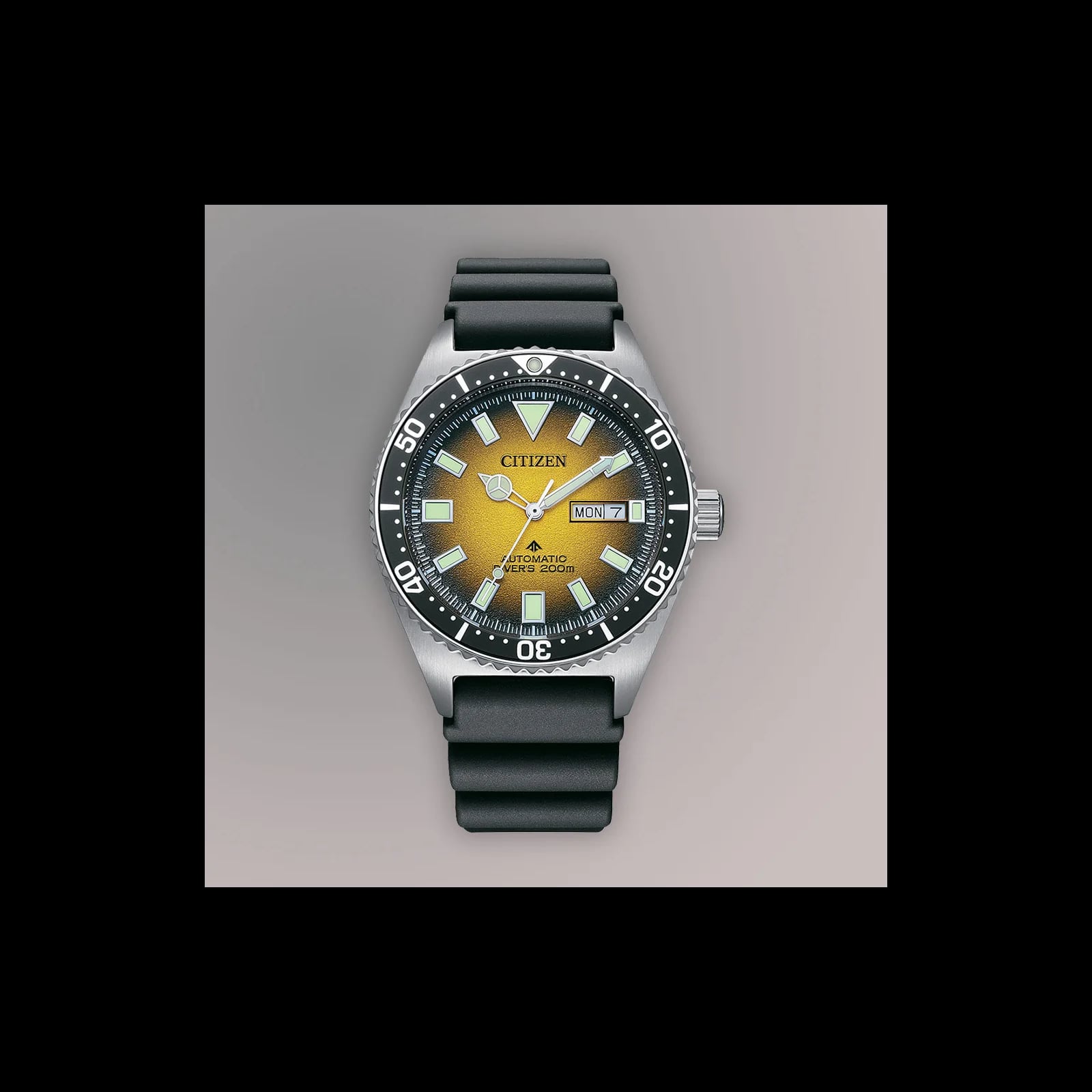 Promaster Dive Mens Watches CTZ NY0120-01X