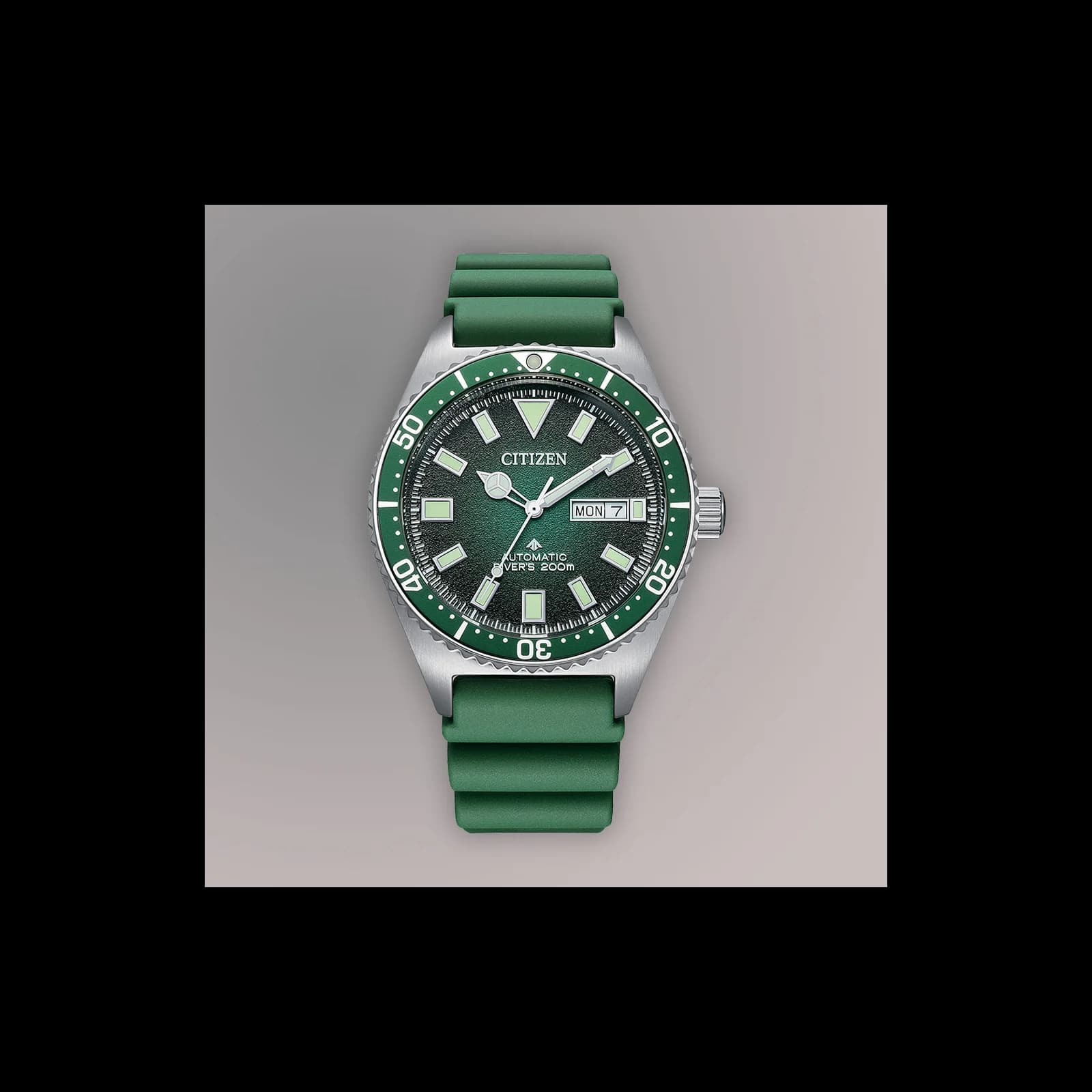 Thumb Promaster Dive Mens Watches CTZ NY0121-09X