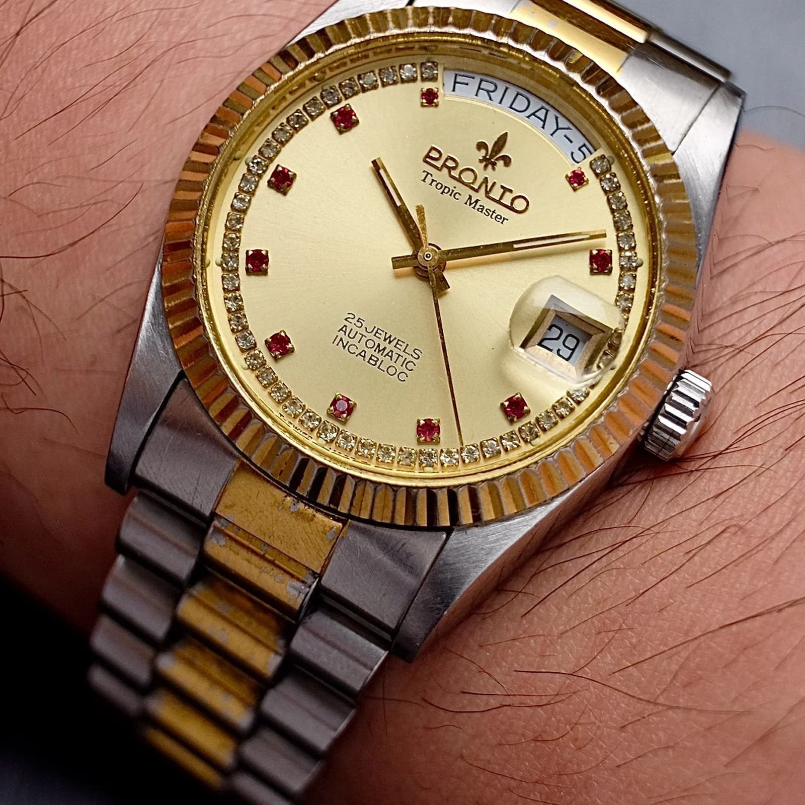Thumb PRONTO Tropic Master String diamond ruby Automatic President