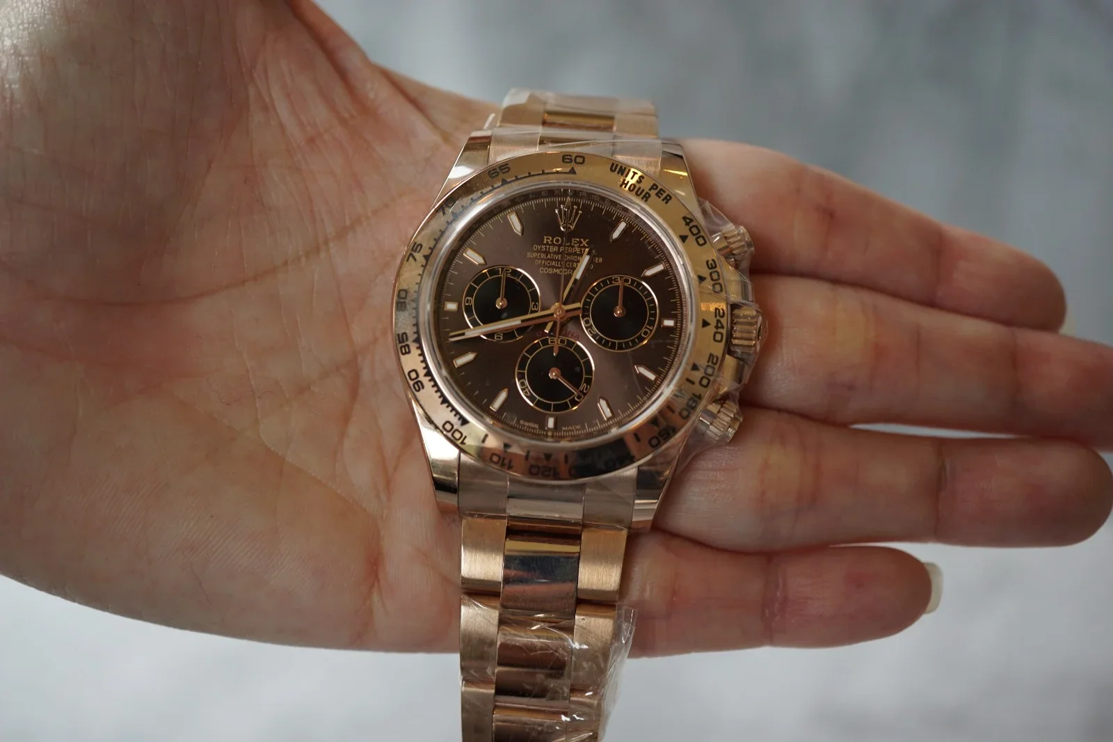 Cosmograph Daytona Everose / Choco - Black / Oyster
