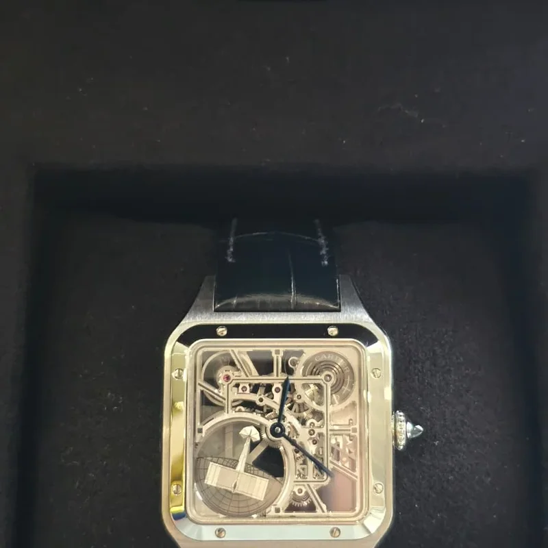 Dumont Large Stainless Steel / Skeleton Micro-Rotor