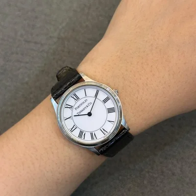 Portfolio Stainless Steel Quartz / White-Roman