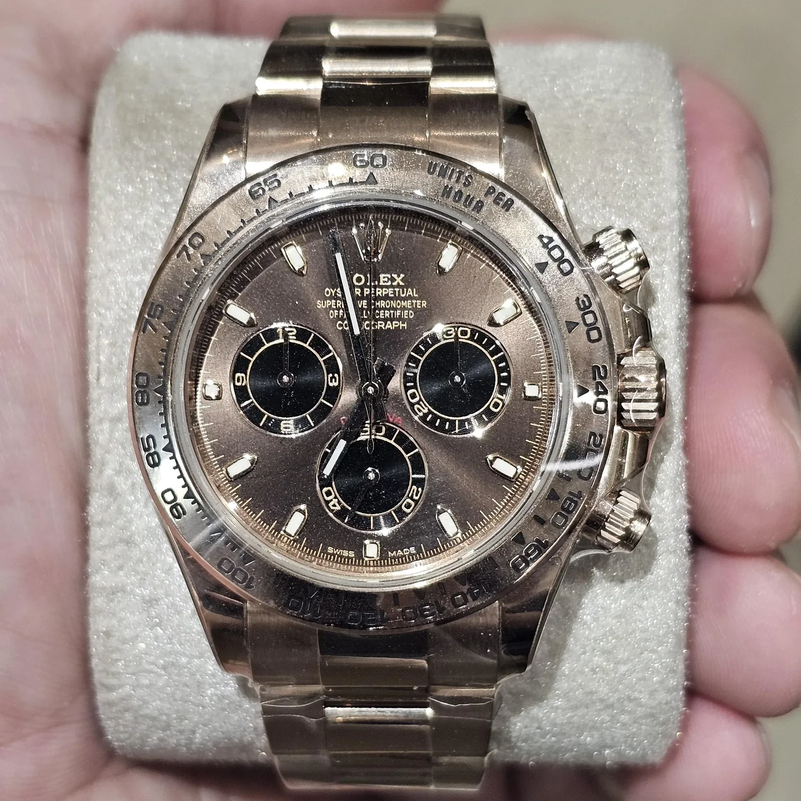 Cosmograph Daytona Everose / Chocolate