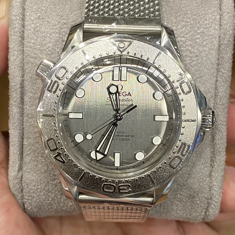 Seamaster Diver 300M Stainless Steel / Grey