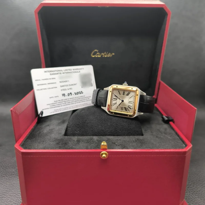 Thumb Santos Dumont Large