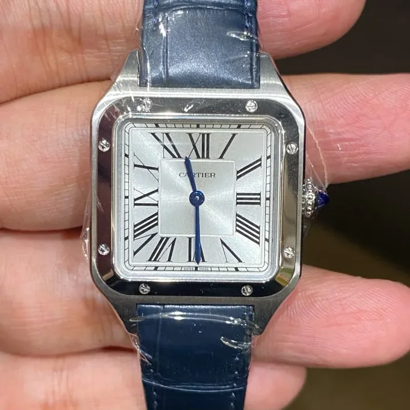 Santos Dumont Small Stainless Steel / Strap
